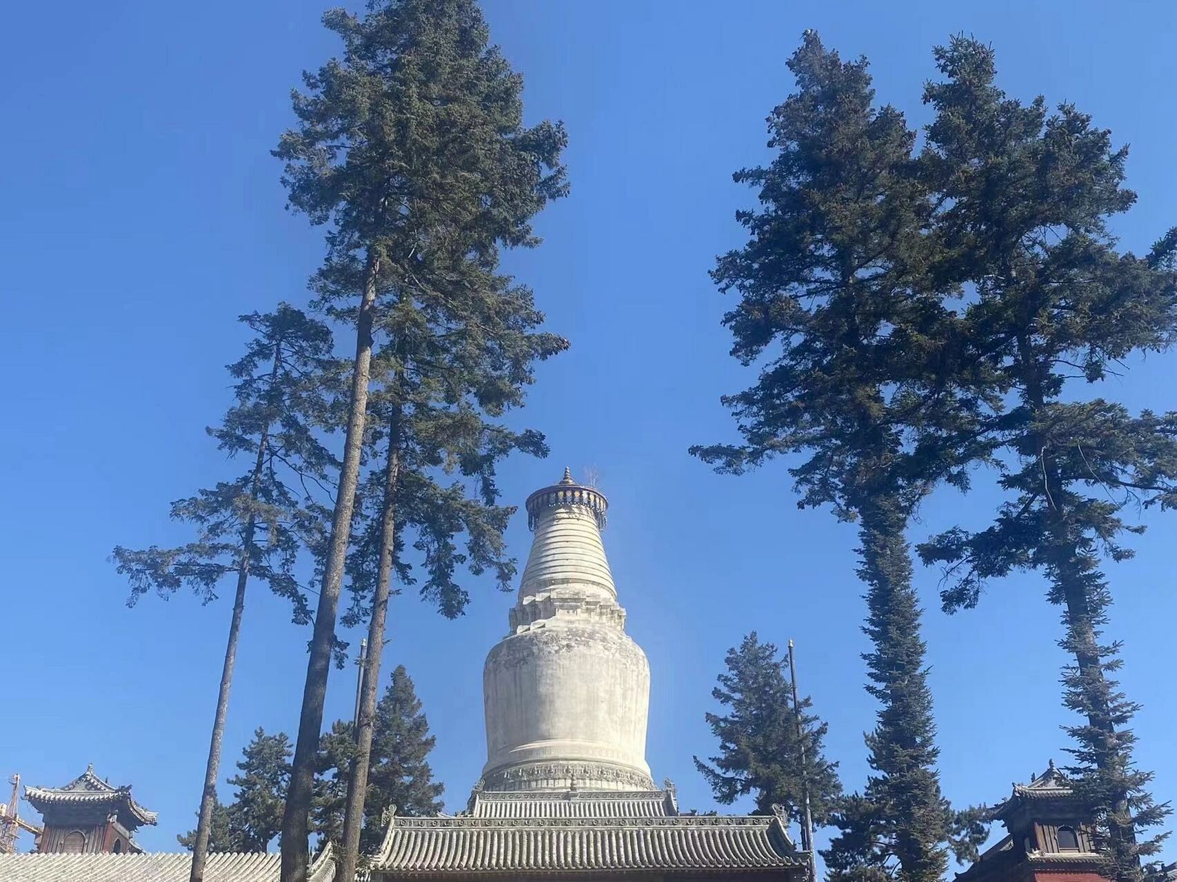 五台山一日游 第一站:大文殊寺,文殊菩萨讲经说法的地方,也是大智文殊