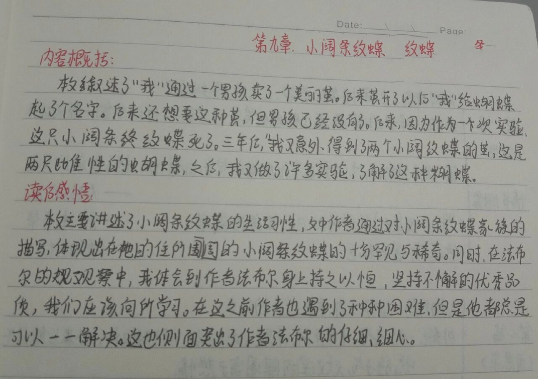 《昆虫记》第九章 小阔条纹蝶