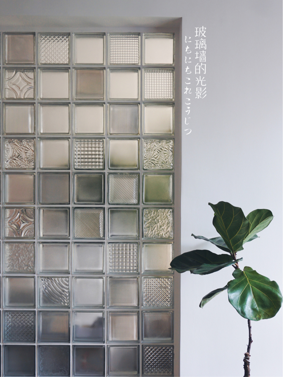 经济美貌还能有付诸执行力的最后定了玻璃墙.