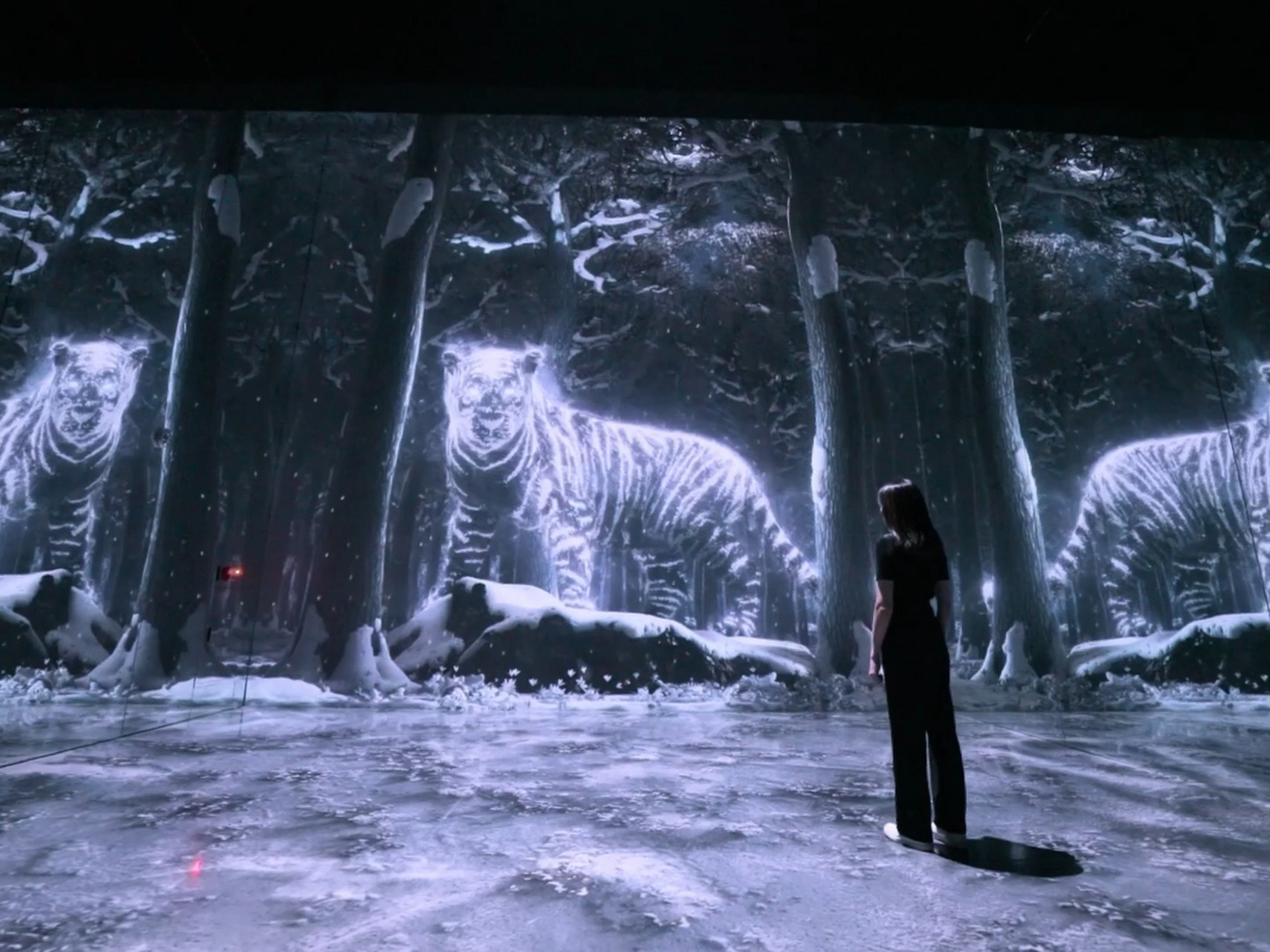 打造的首家常设展览馆,也是成都目前规模最大的沉浸式数字艺术美术馆