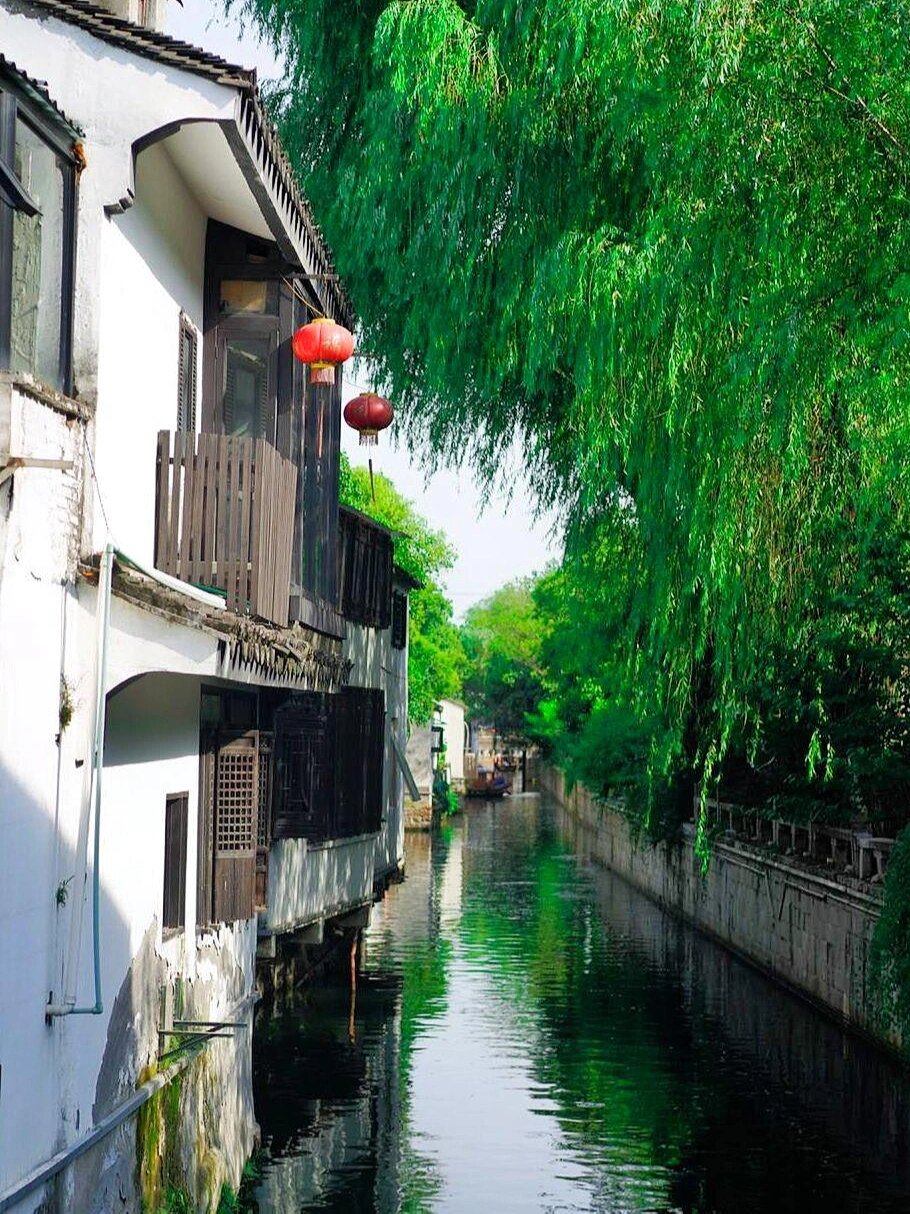 浙江嘉兴乌镇西栅景区美景来了! 枕水江南,梦回乌镇