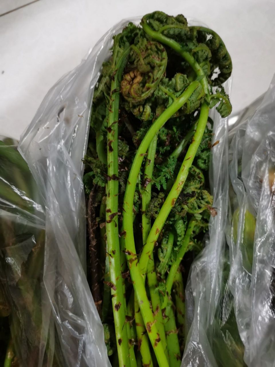 据说这些是东北比较经典的山野菜,但我是吉林省人,我真的一样儿都不