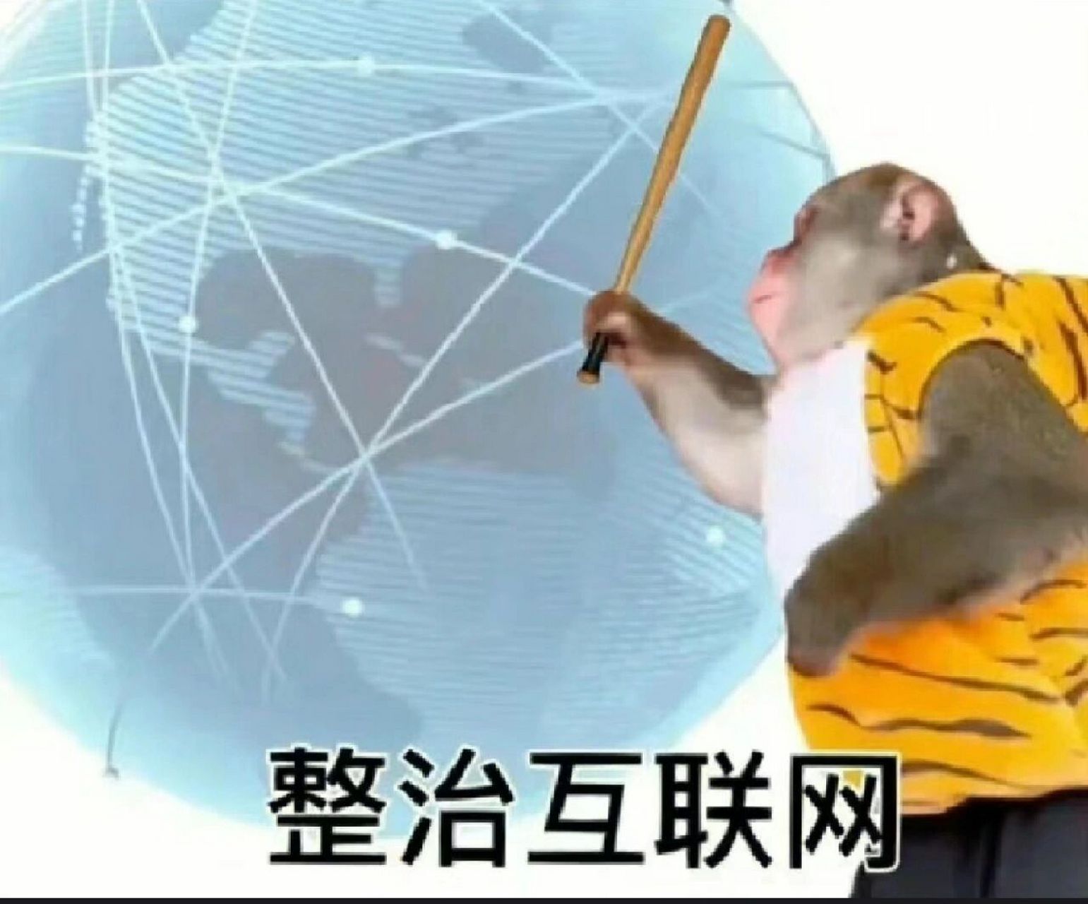 第一张斩女  第二张斩男 近期最爱的猴猴表情包(马喽的命也是命)97