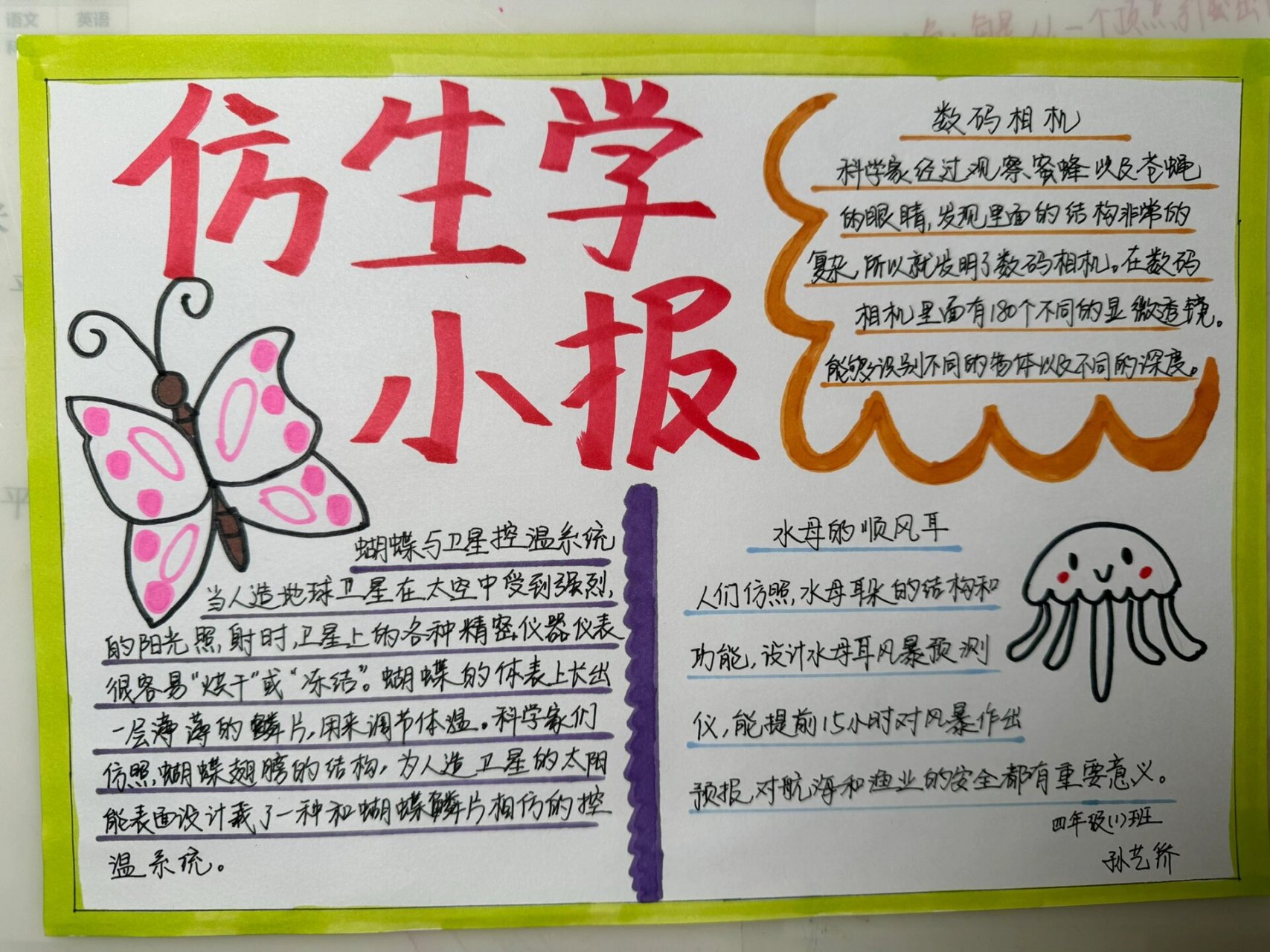 仿生学小报 仿生学手抄报