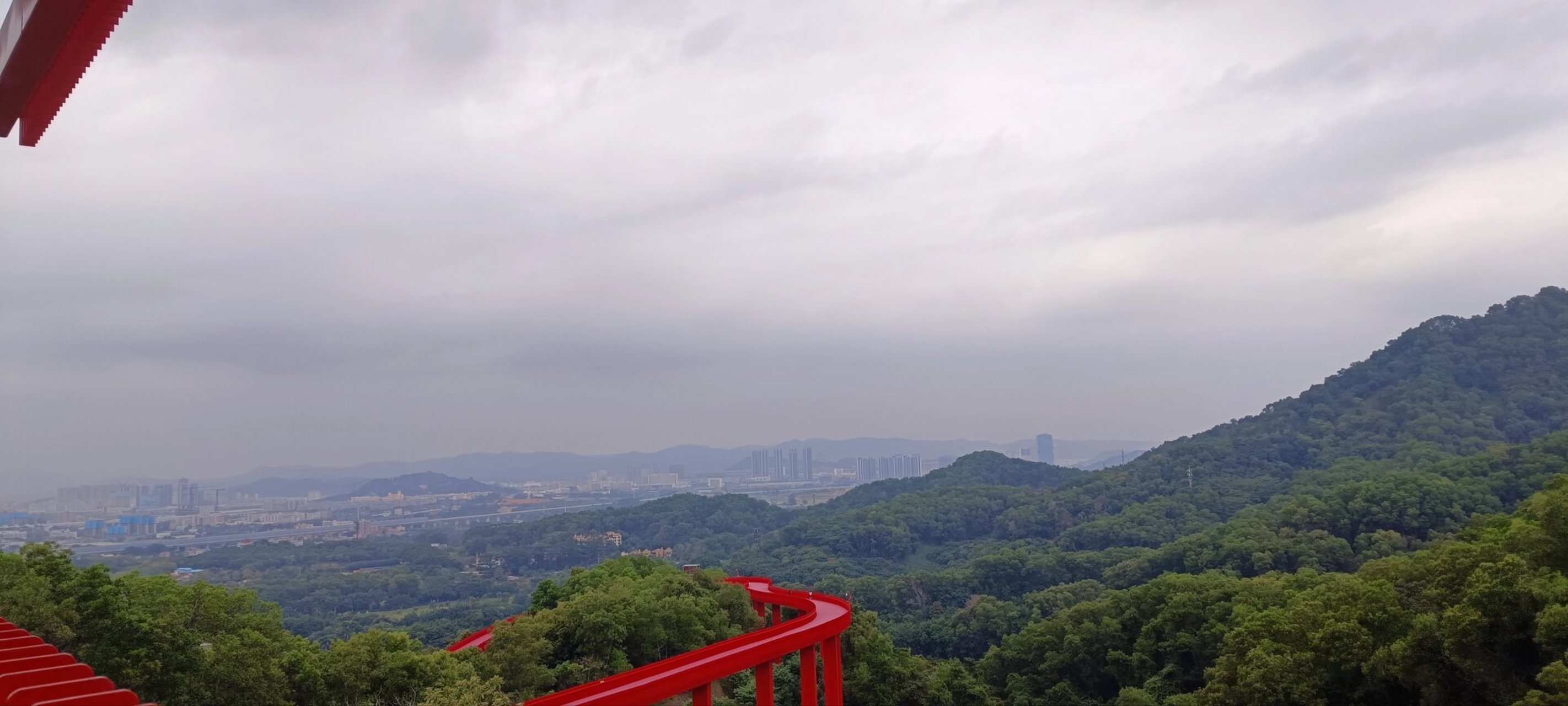 深圳虹桥公园 欢迎来到深圳虹桥公园,这里是一座以运动为主题的公园.