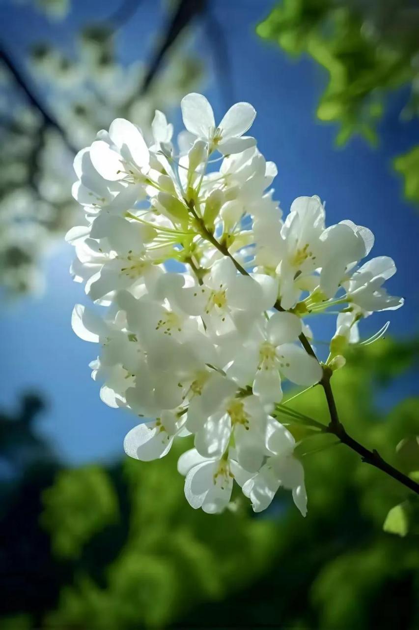 青春易逝,时不我待,若总顾影自怜,耽于消极,岂不任年华流走,空留遗憾.