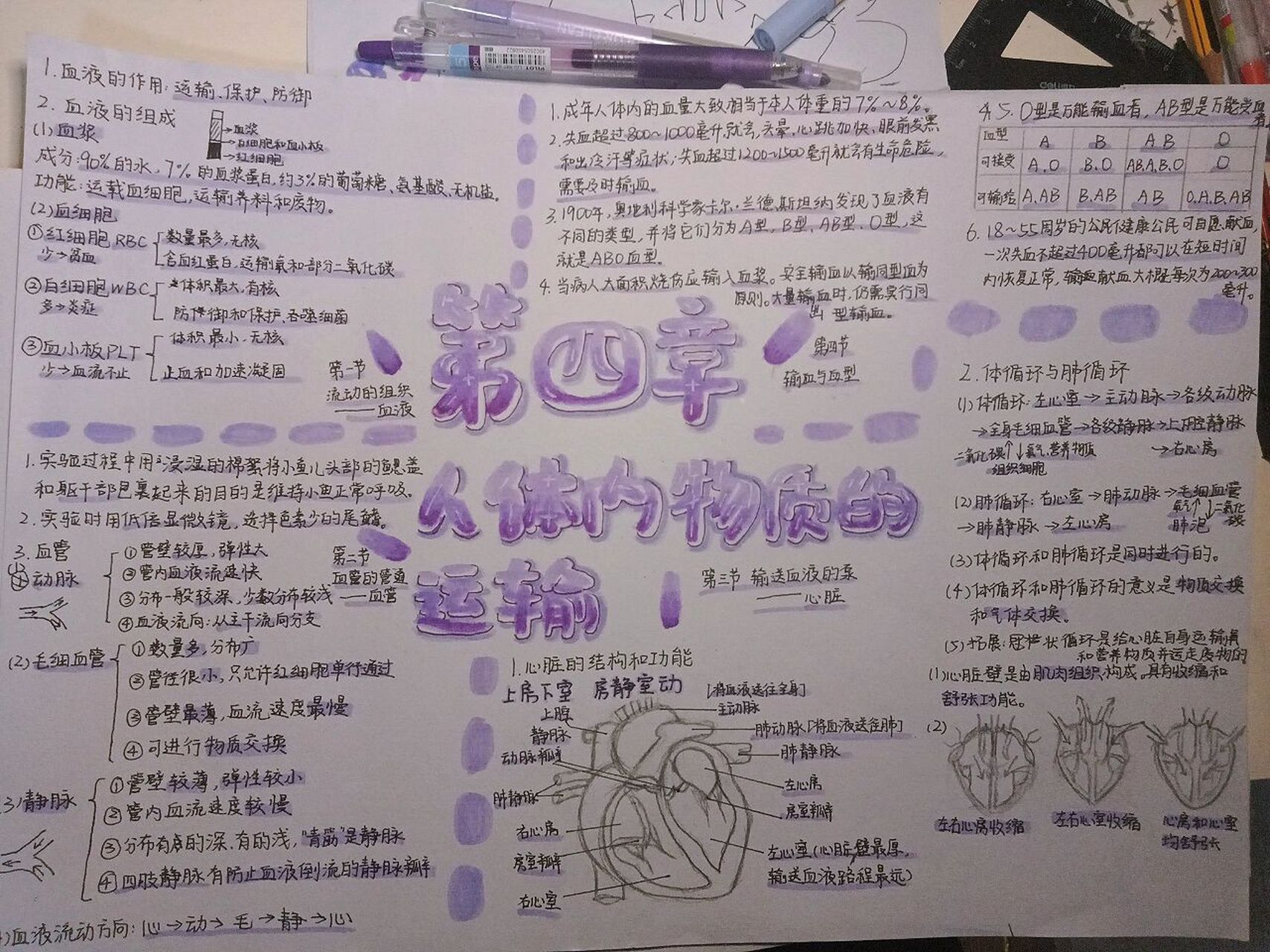 生物七下第四章 思维导图 地理的在赶,在赶,感谢大家的支持