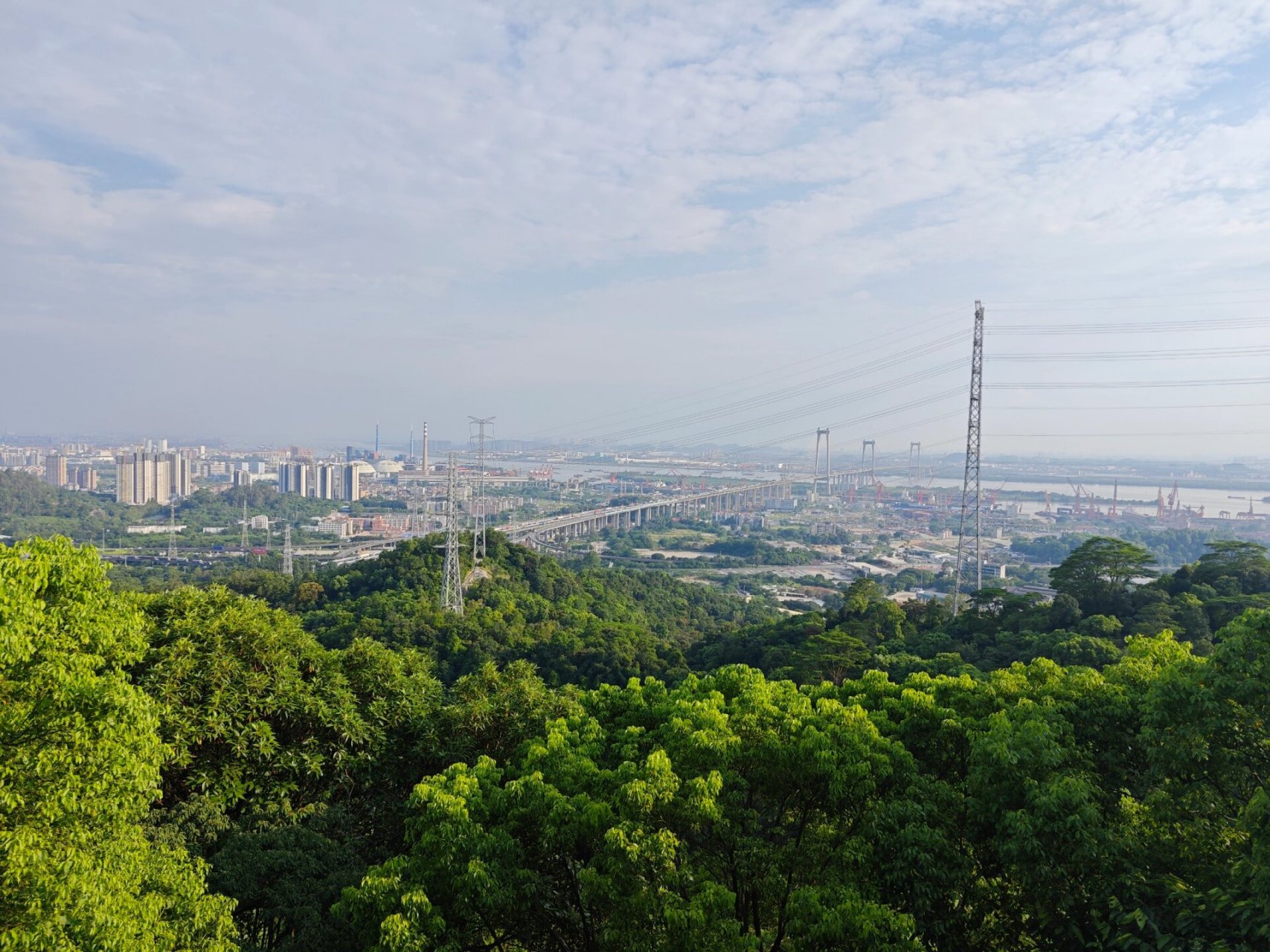 黄埔区龙头山森林公园图片