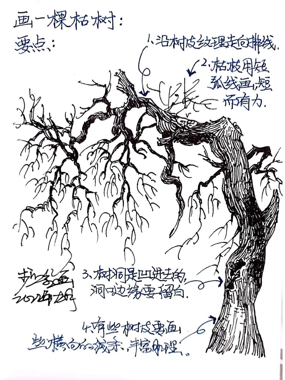 枯树画法解析       枯树画法解析