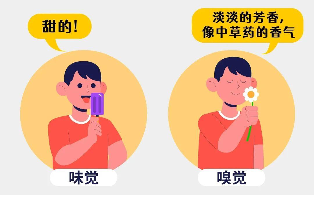 感冒为什么会失去味觉和嗅觉