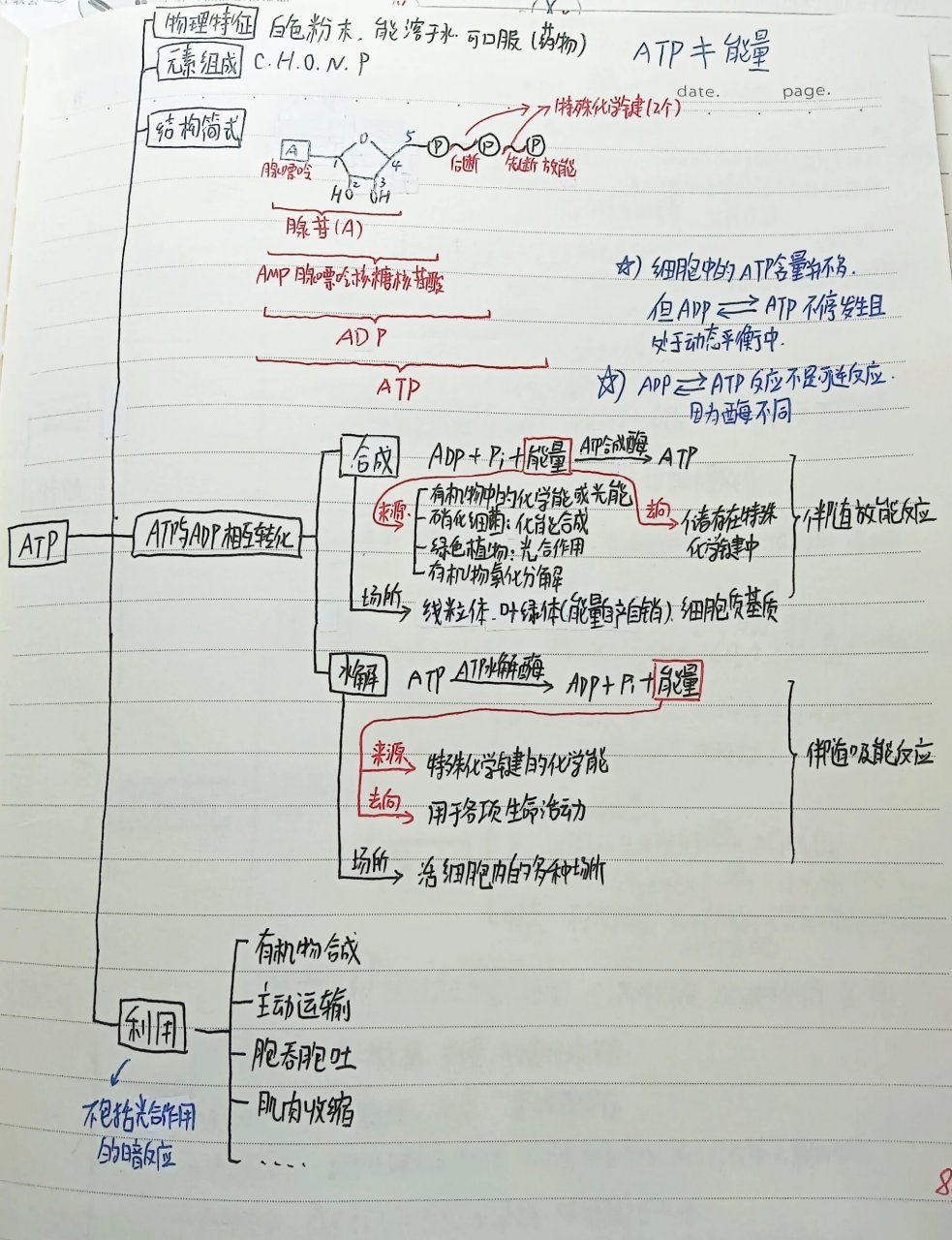 酶与atp及实验思维导图,高三一轮复习