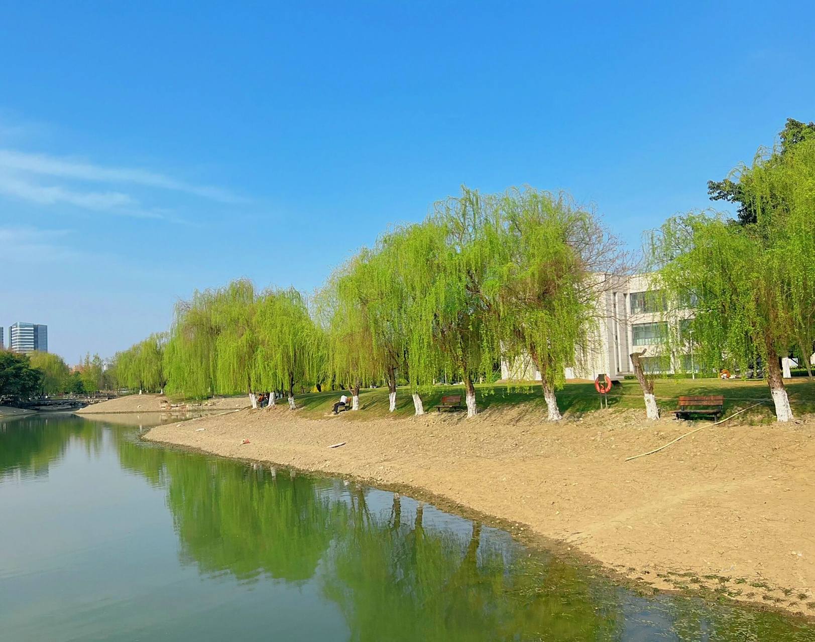 被电子科大清水河校区美哭了 成都最近的太阳让人感动到落泪,阳光是最