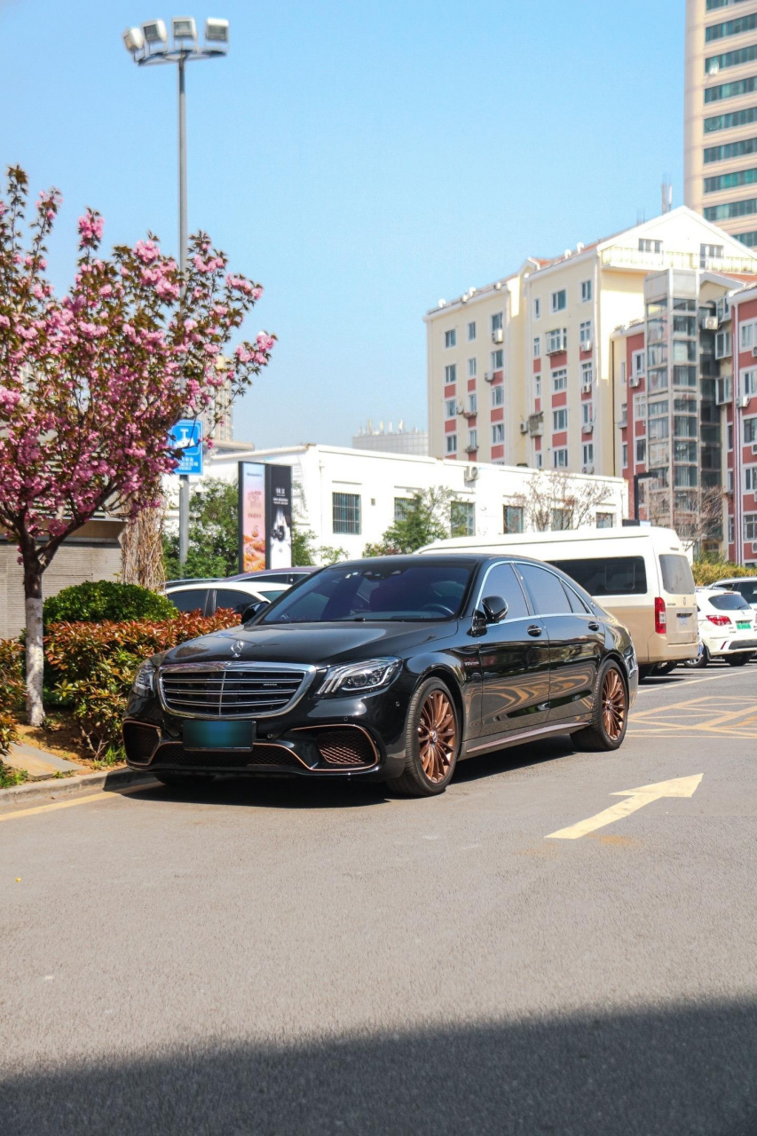 amgs65l典藏版图片