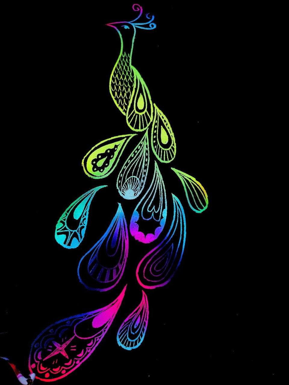 刮画纸,线条画孔雀