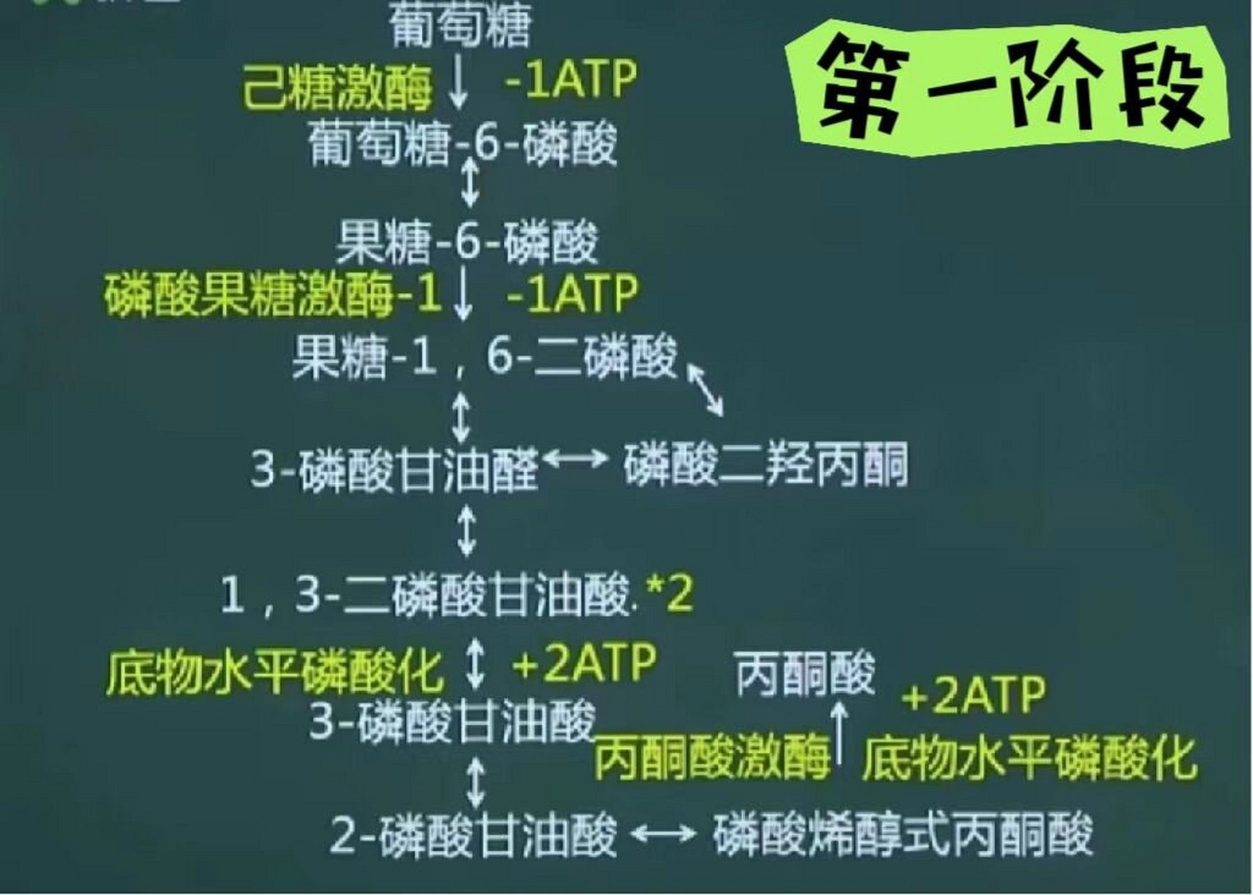 生物化学—糖的有氧氧化3张图就搞定6015 糖的有氧氧化一直是考研