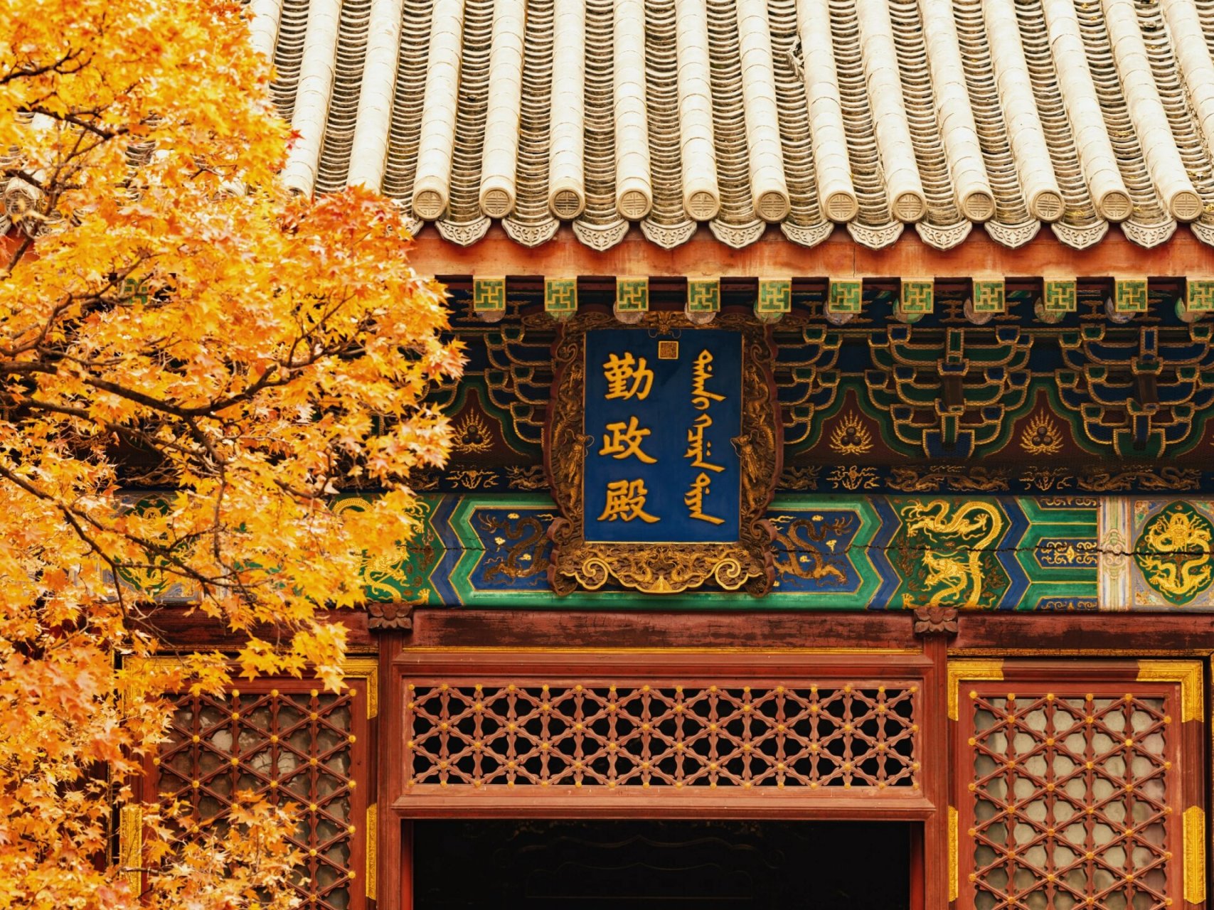 勤政殿可以拍了,再不去一场大风就什么都没了.