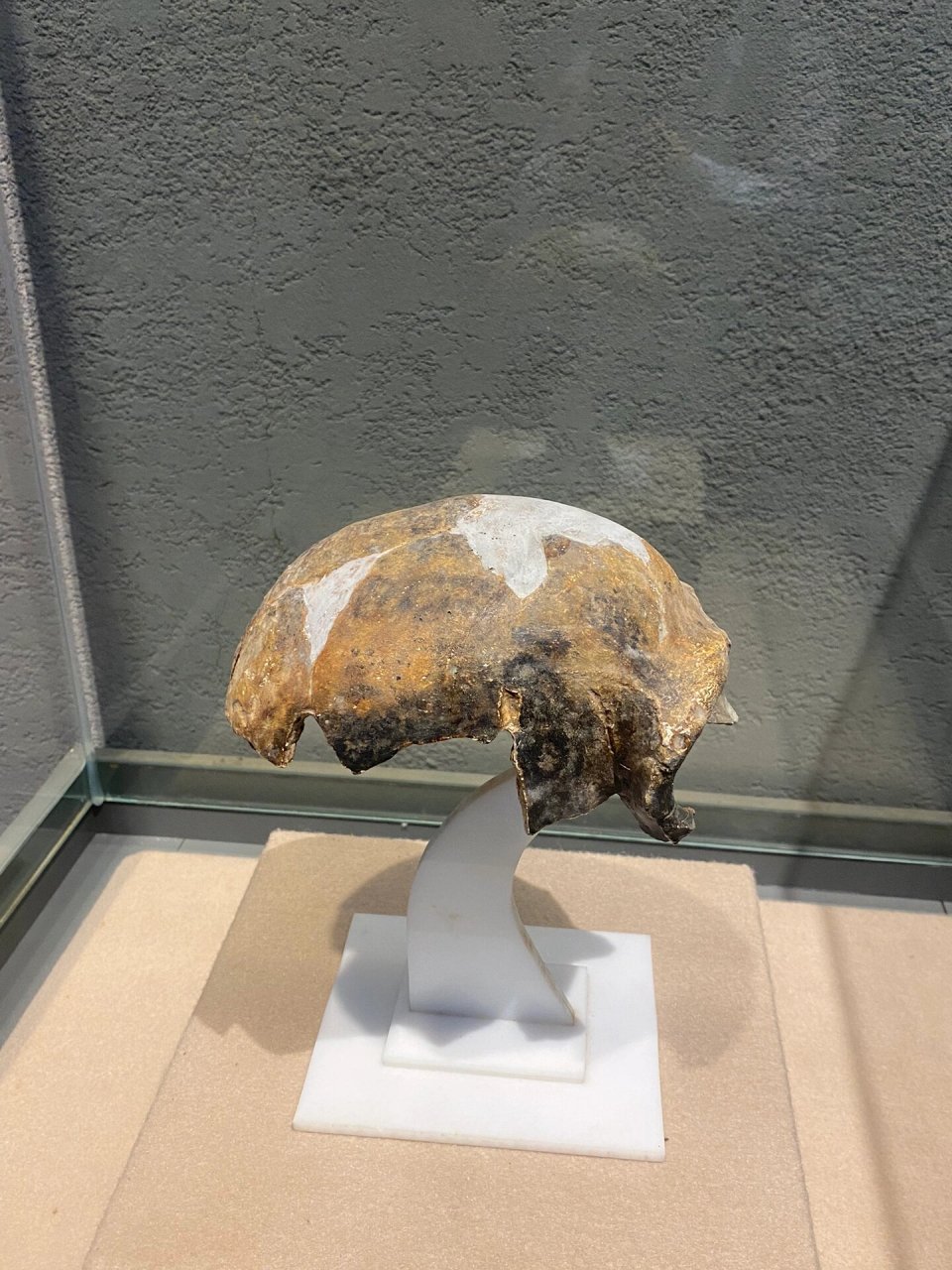 韶关马坝人遗址公园