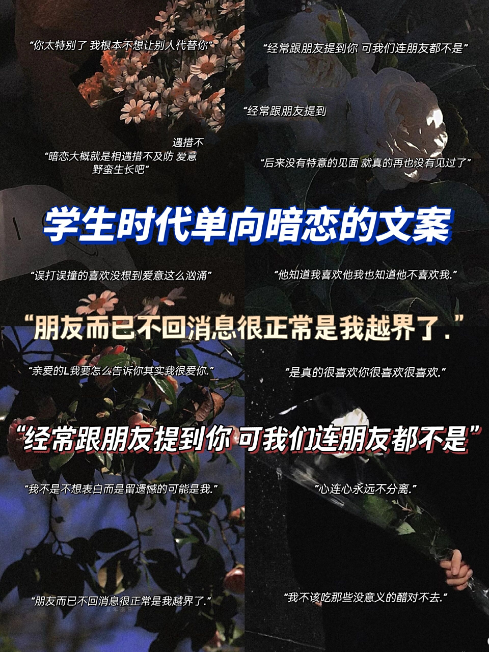 学生时代单向暗恋的文案 194 "暗恋大概就是相遇措不及防 爱意野蛮