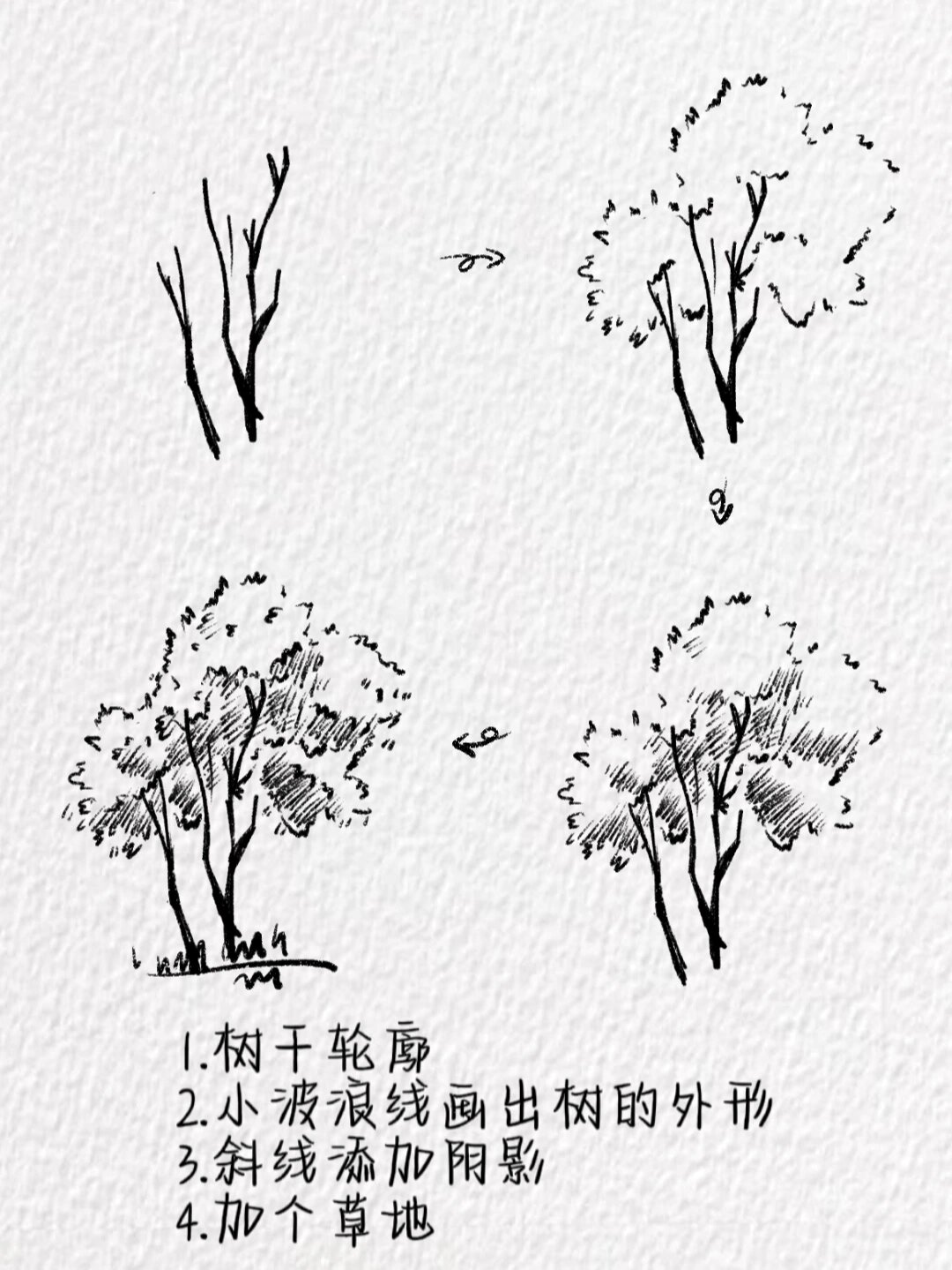 树木简笔画~(含教程)