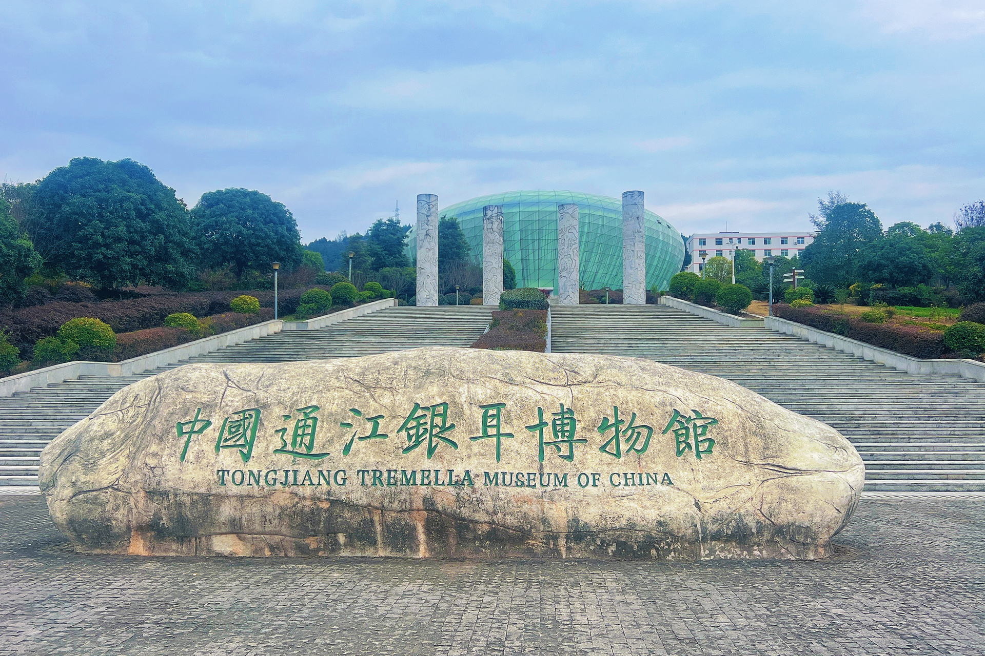 中国9899通江银耳博物馆