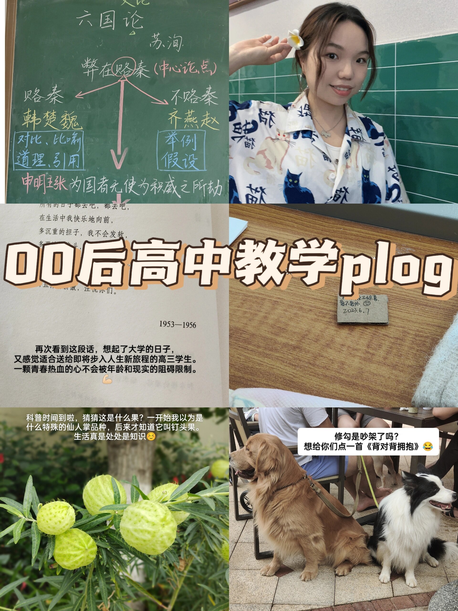 《六国论》板书   板书经验分享第二弹