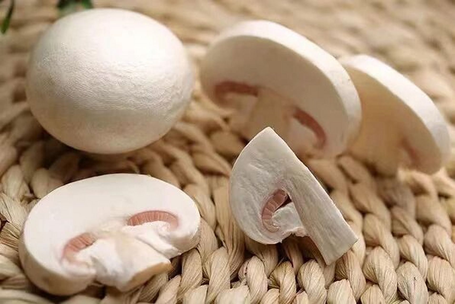 口蘑是生长在蒙古草原上的一种白色的野生蘑菇,味道非常的鲜美,一般