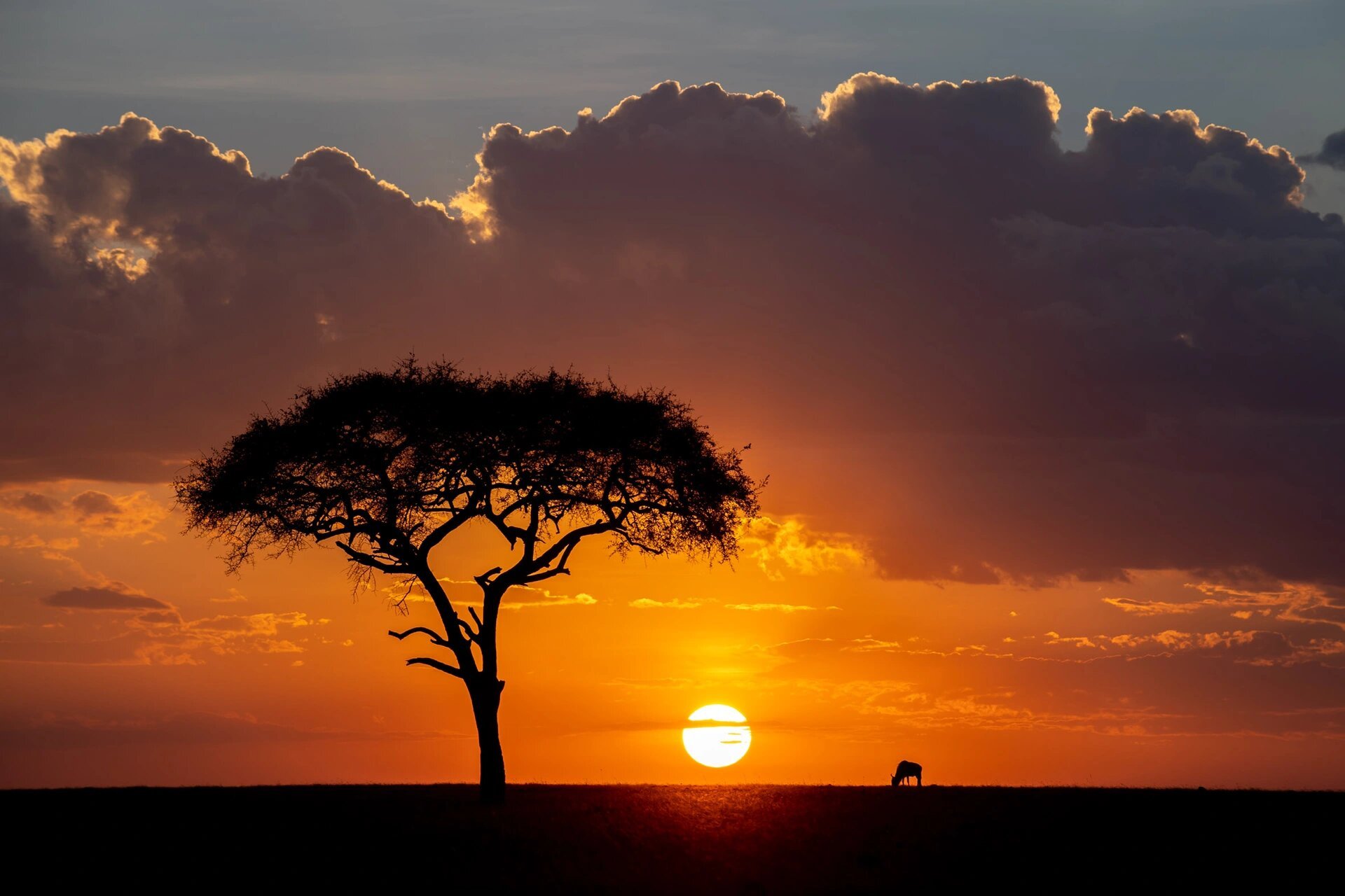 什么时候去非洲71雨季or旱季 0169♂15如果你正计划前往非洲