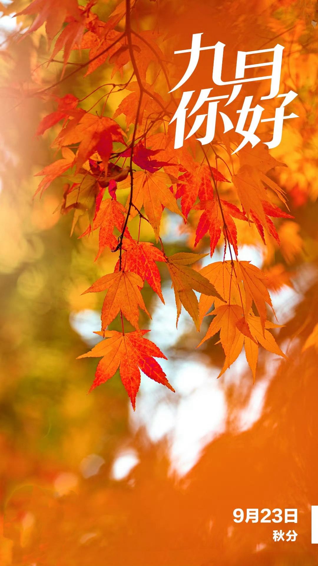 】9月,中国人民抗日战争胜利78周年 铭记历史,吾辈