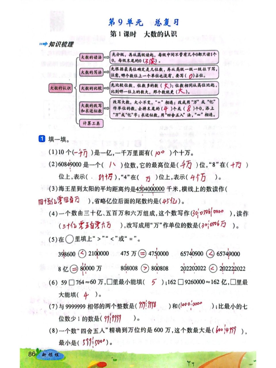 四年级上册新领程图片