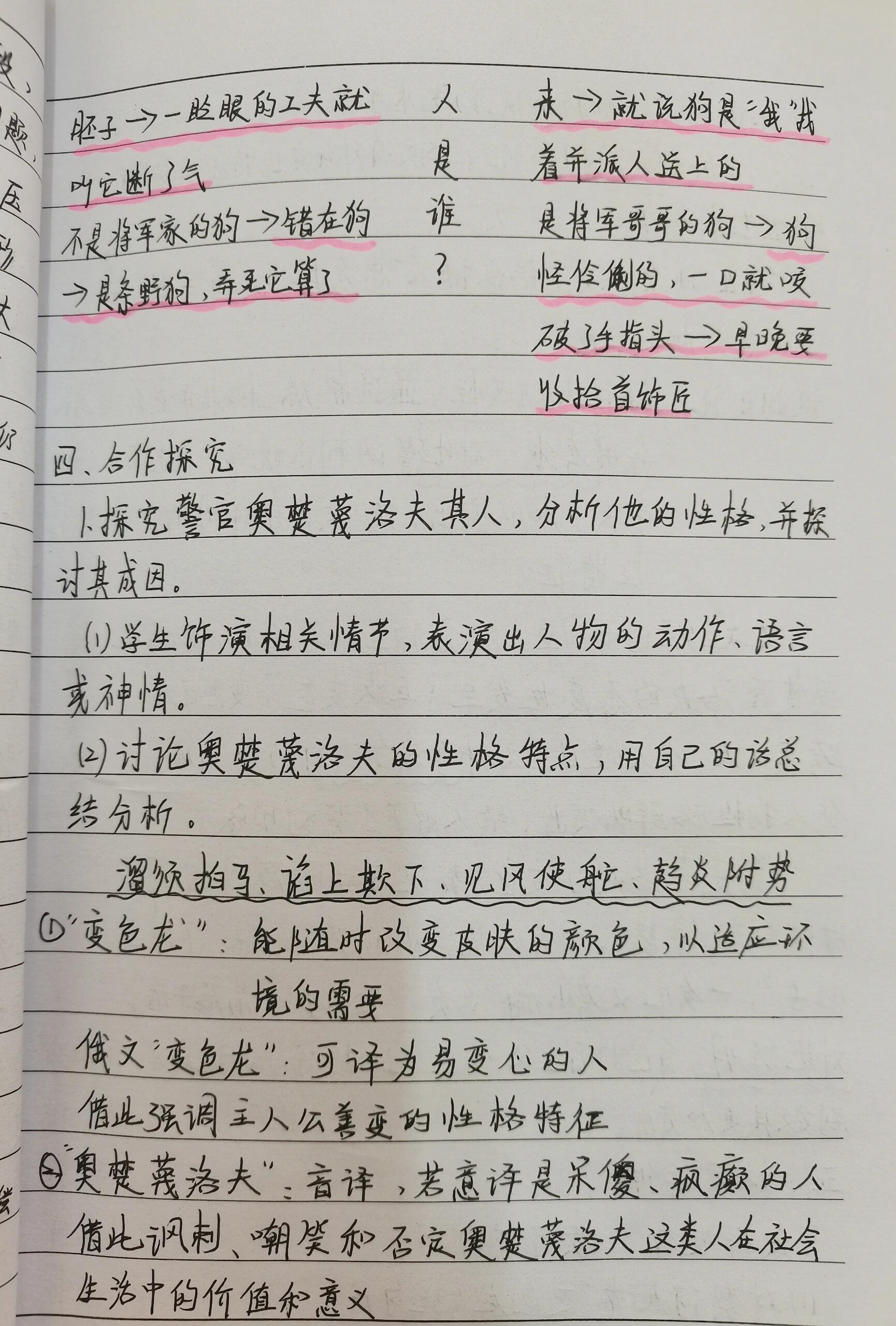 变色龙思考探究图片