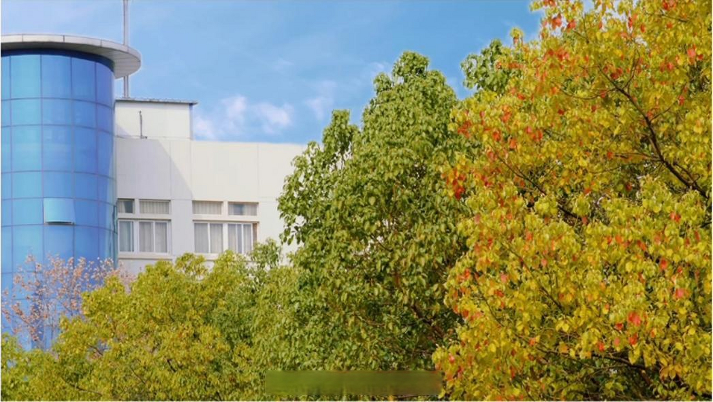 武汉传媒学院# #武传一角# 沿路的风景真不坏,一副天上乐园的景色.