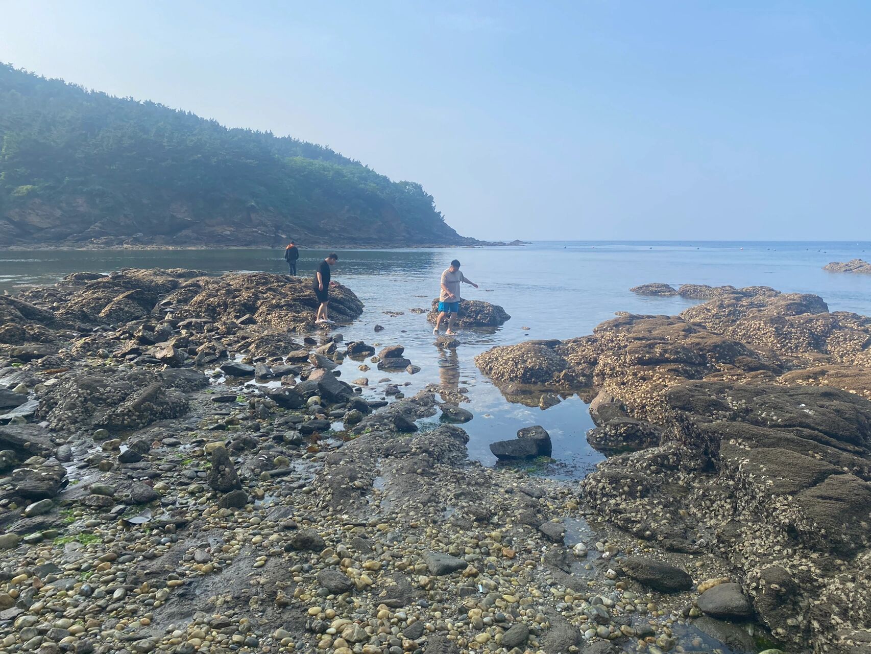 大连獐子岛攻略 踩雷 是近10年来最糟心的一次旅游,我老公好几年前去