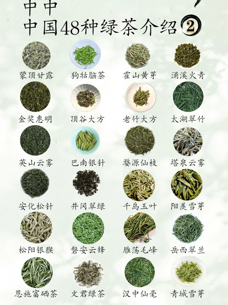 六大茶类之绿茶篇46615   95绿茶是我国品种最多的茶类,很多