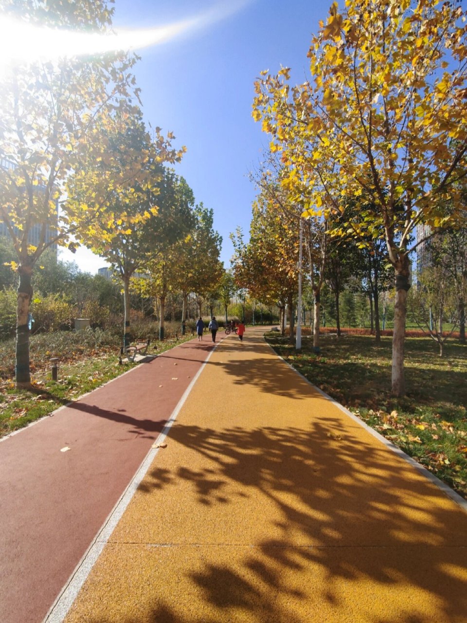 城市最美跑步路线-昆仑公园 秋日的昆仑公园格外漂亮,湛蓝的天空,泛黄