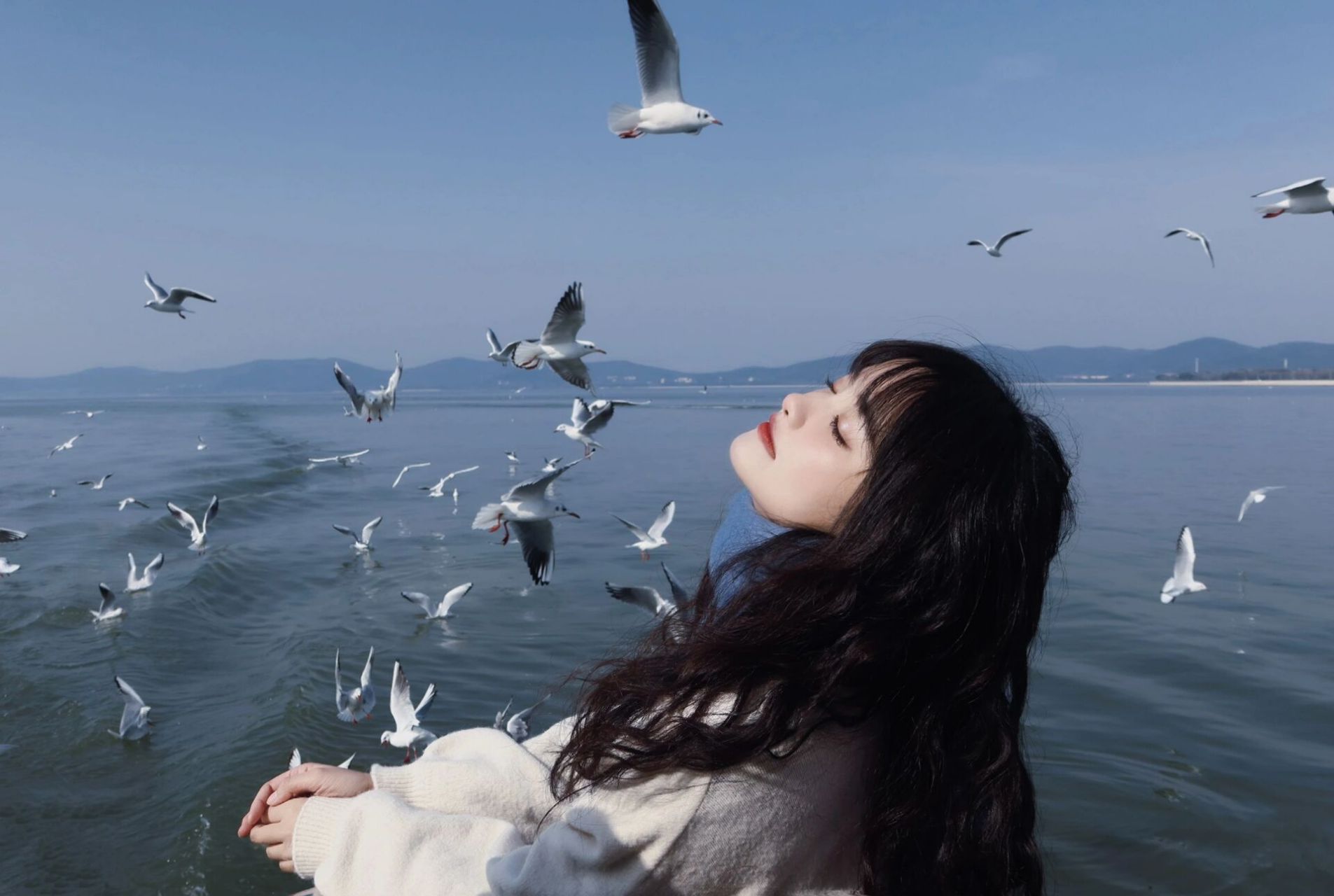 永远可以相信鼋头渚的红嘴鸥 2022年3月去大理的时候大多海鸥都飞走了