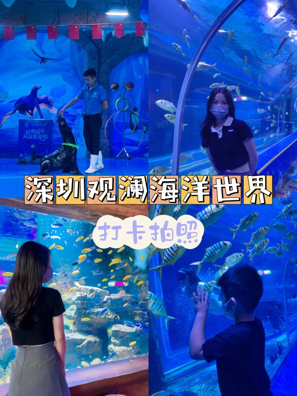 深圳观澜海洋世界98游玩攻略 十一黄金周出行计划   趁着假期最后