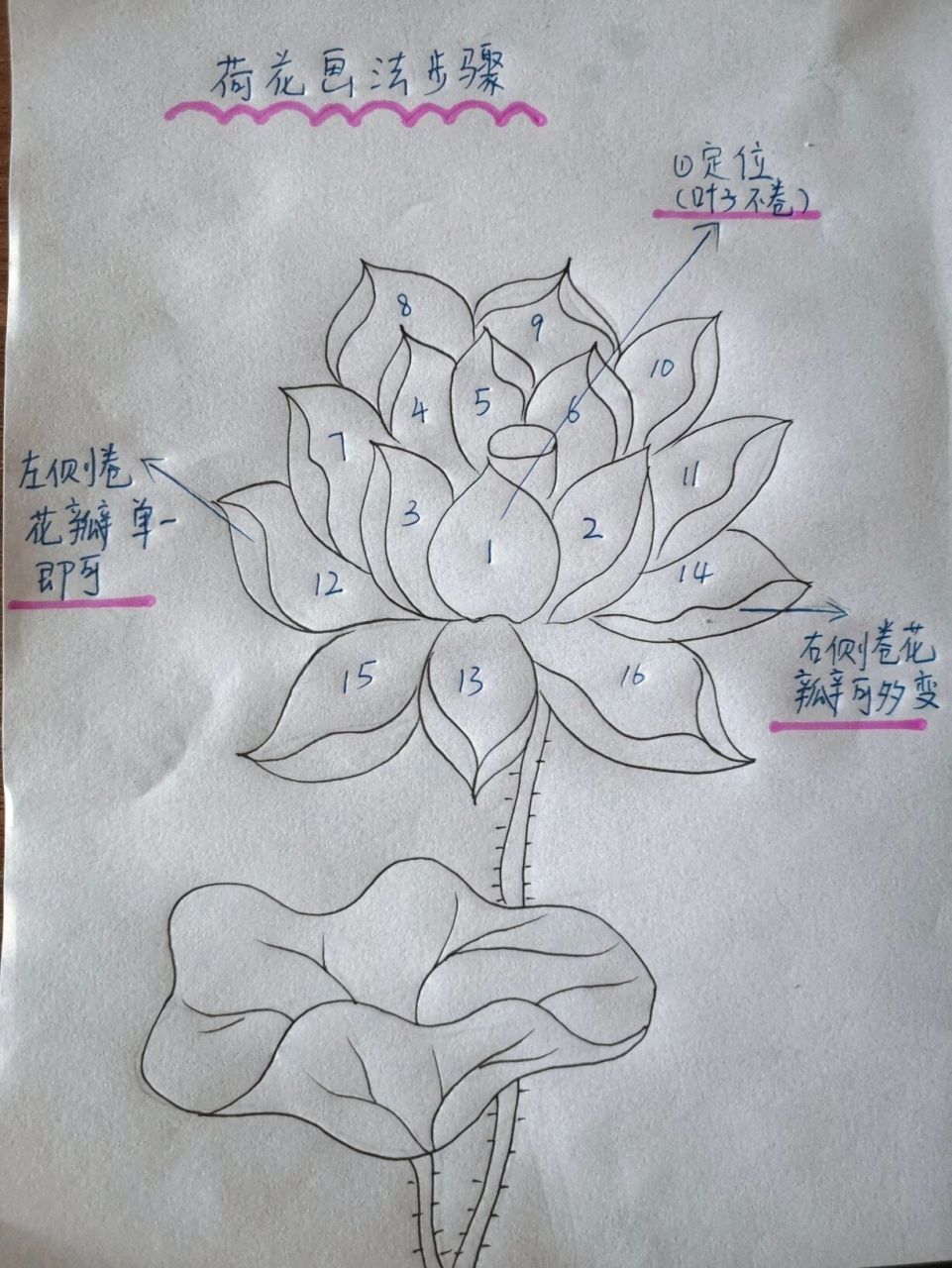 一看就会| 今日分享《荷花画法分解图》,一看就会,零基础看图解简单
