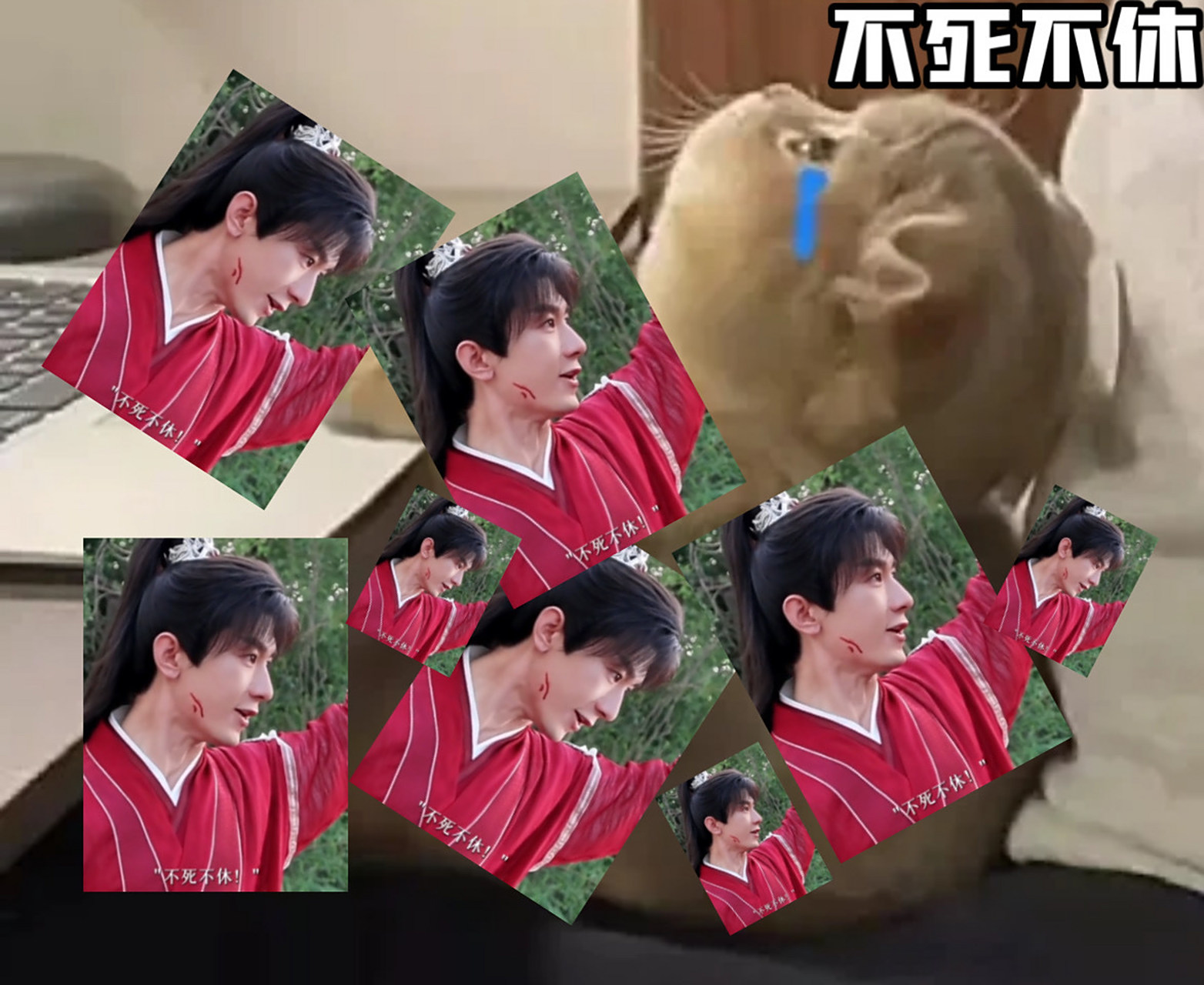 李相夷红衣猎杀时刻红衣李相夷我直接哭死,意气风发骄傲的四顾门门主