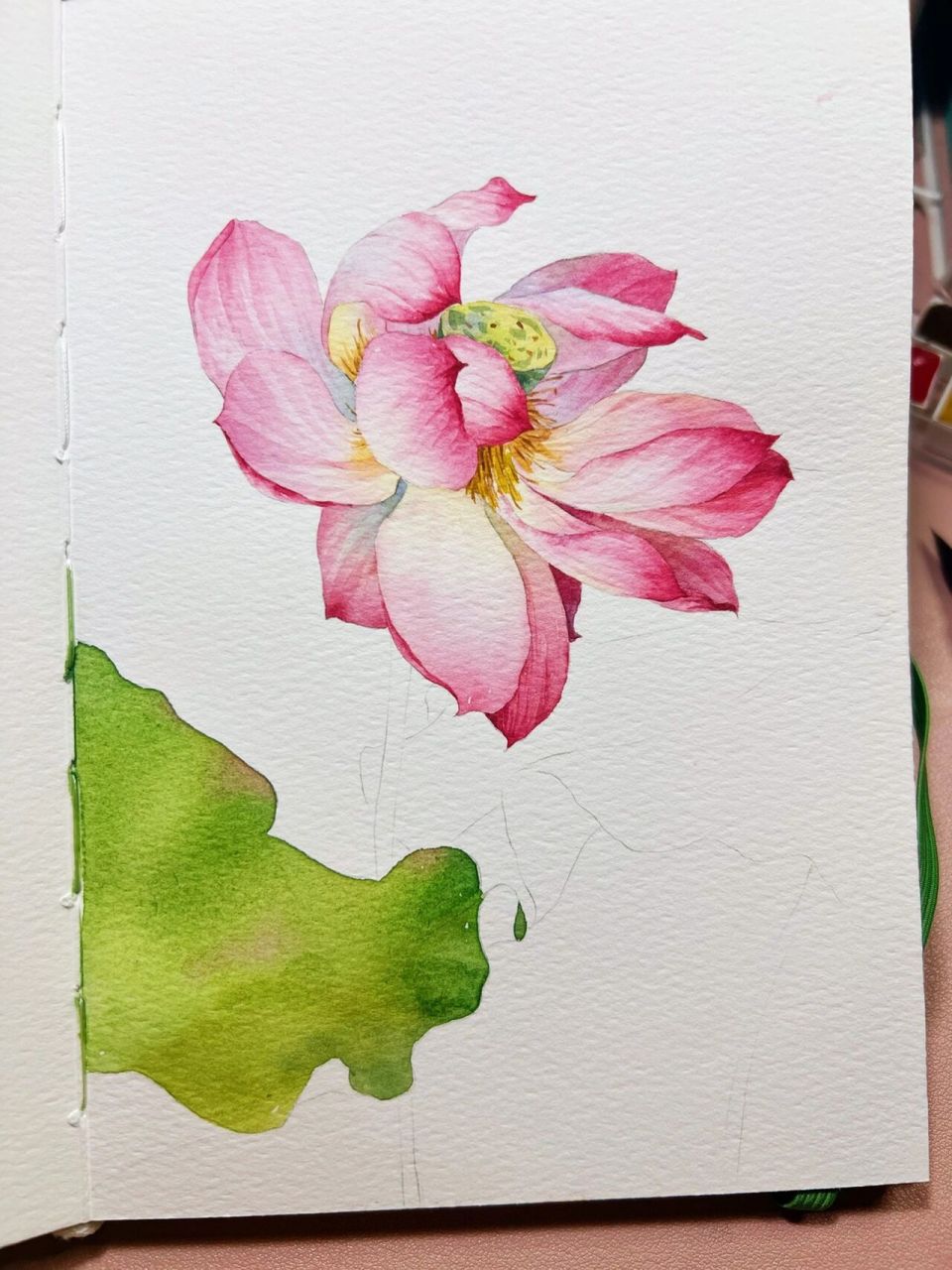 水彩荷花|含步骤和线稿 再一次安排,夏天就要画荷花呀!
