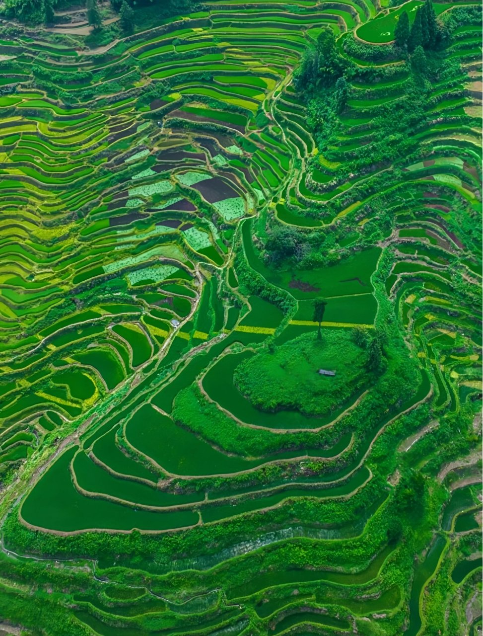 大自然的馈赠73云和梯田7815 地点73:丽水市云和县崇头镇云和