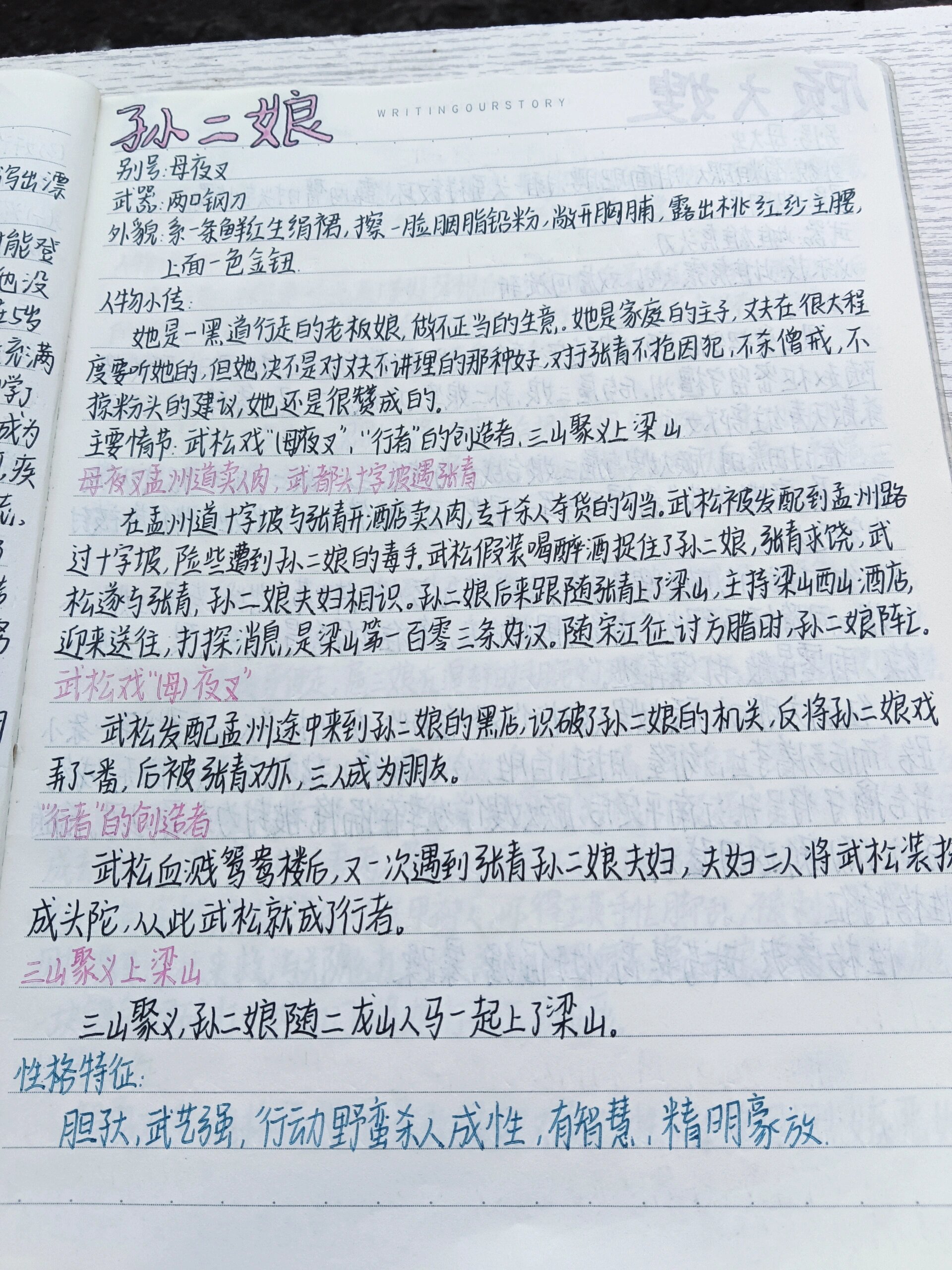 水浒传读书笔记手写图片