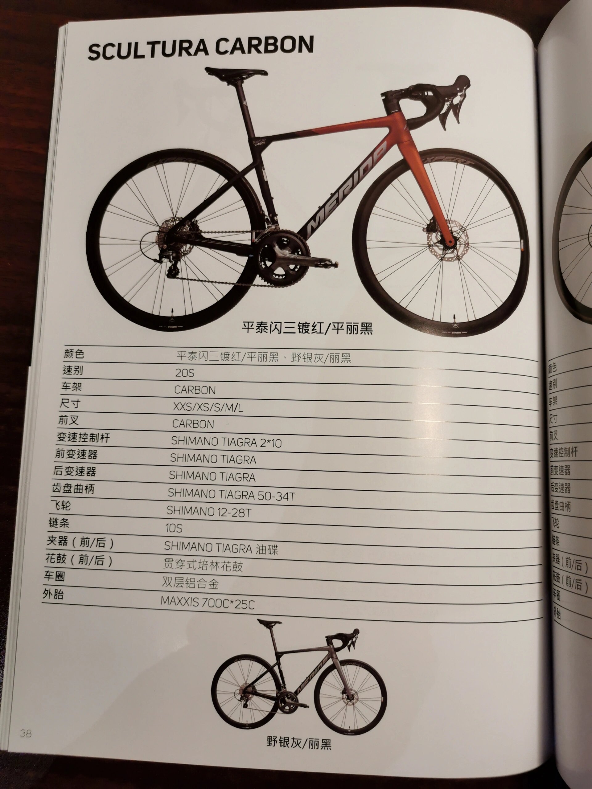 24款 美利达斯特拉卡本carbon