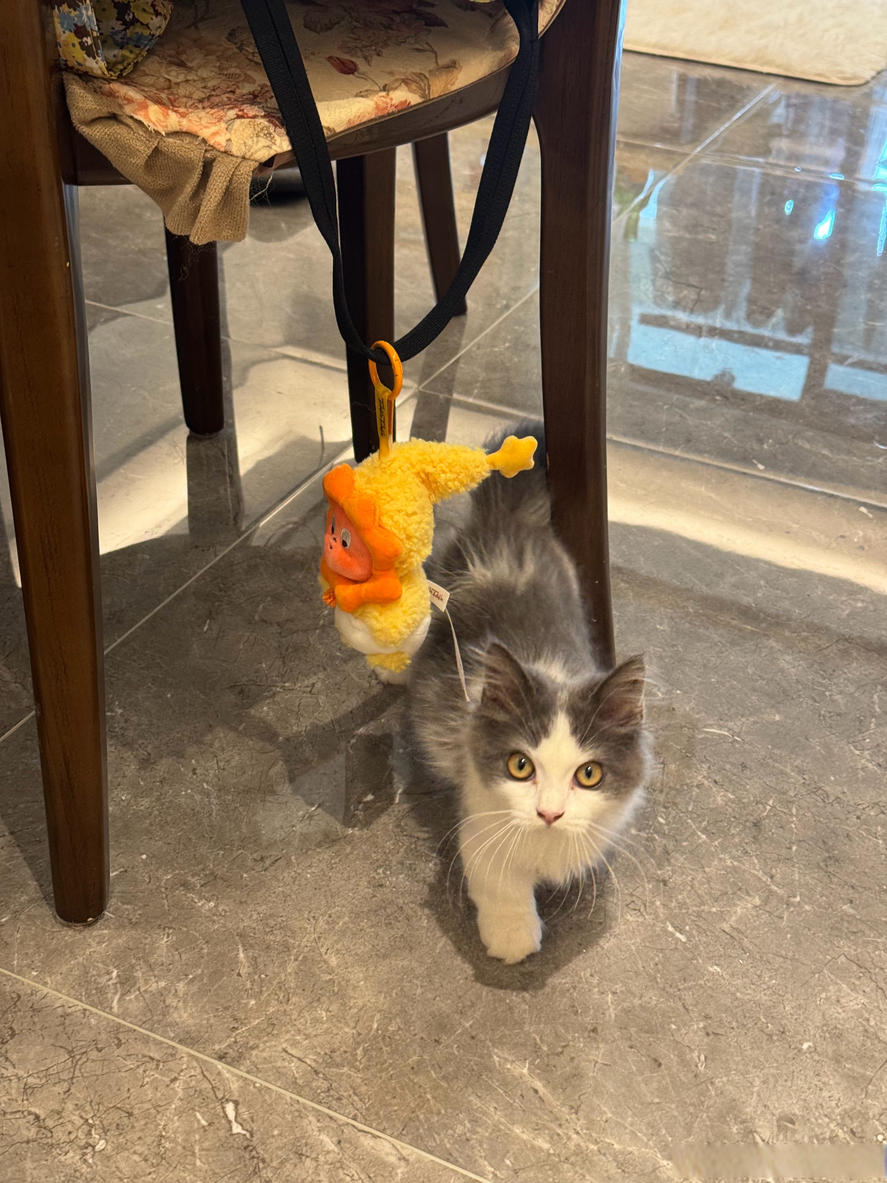 别管身后有多少质疑的阴影,往前冲就是了