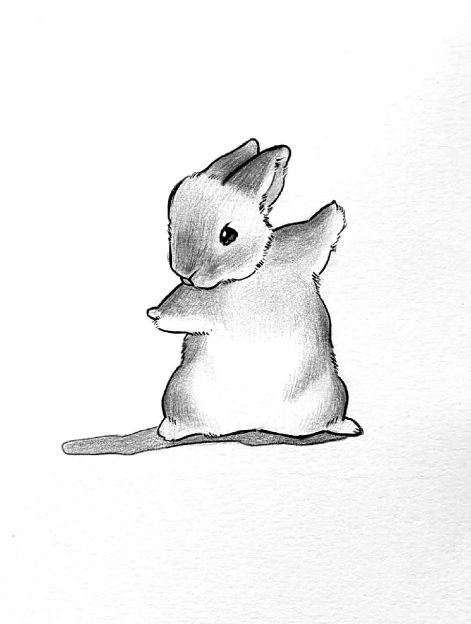 超简单【速写兔子】步骤图