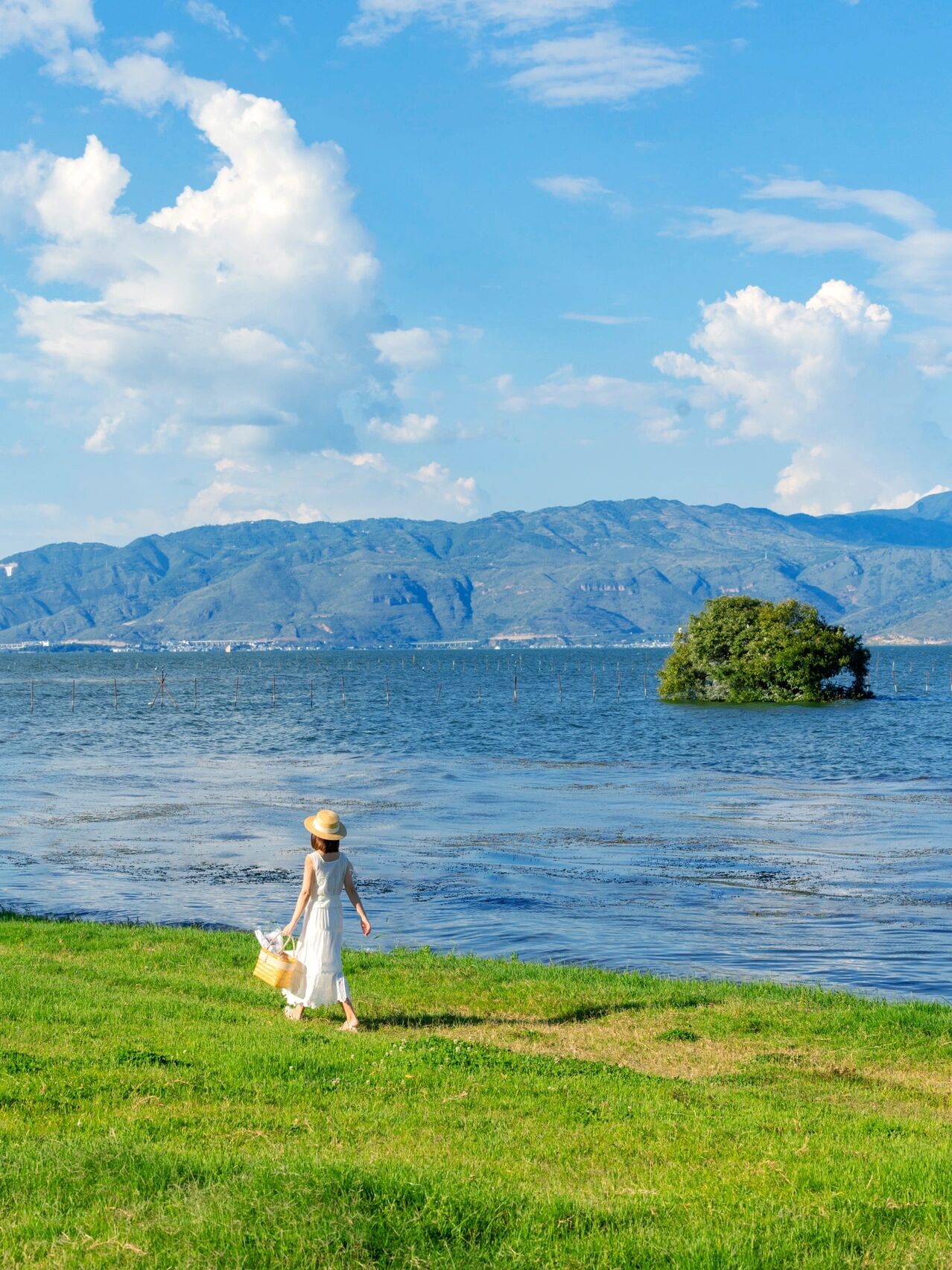 湾桥镇一个人远走的图片一个人孤独远去海边图片孤独的坐在海边侧影
