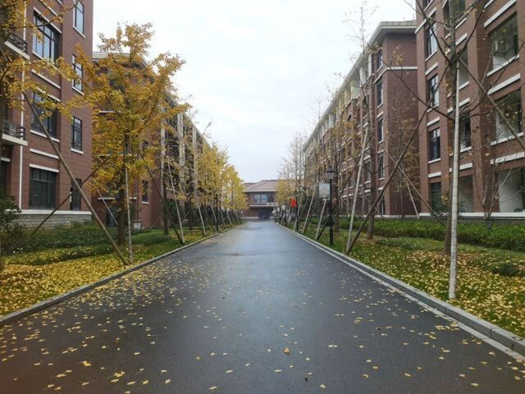 义乌市树人中学随手一拍  哥们哥们听说过树人中学吗?