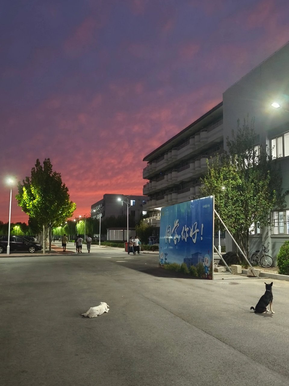 日落的天津农学院(西校区) 仅供参考