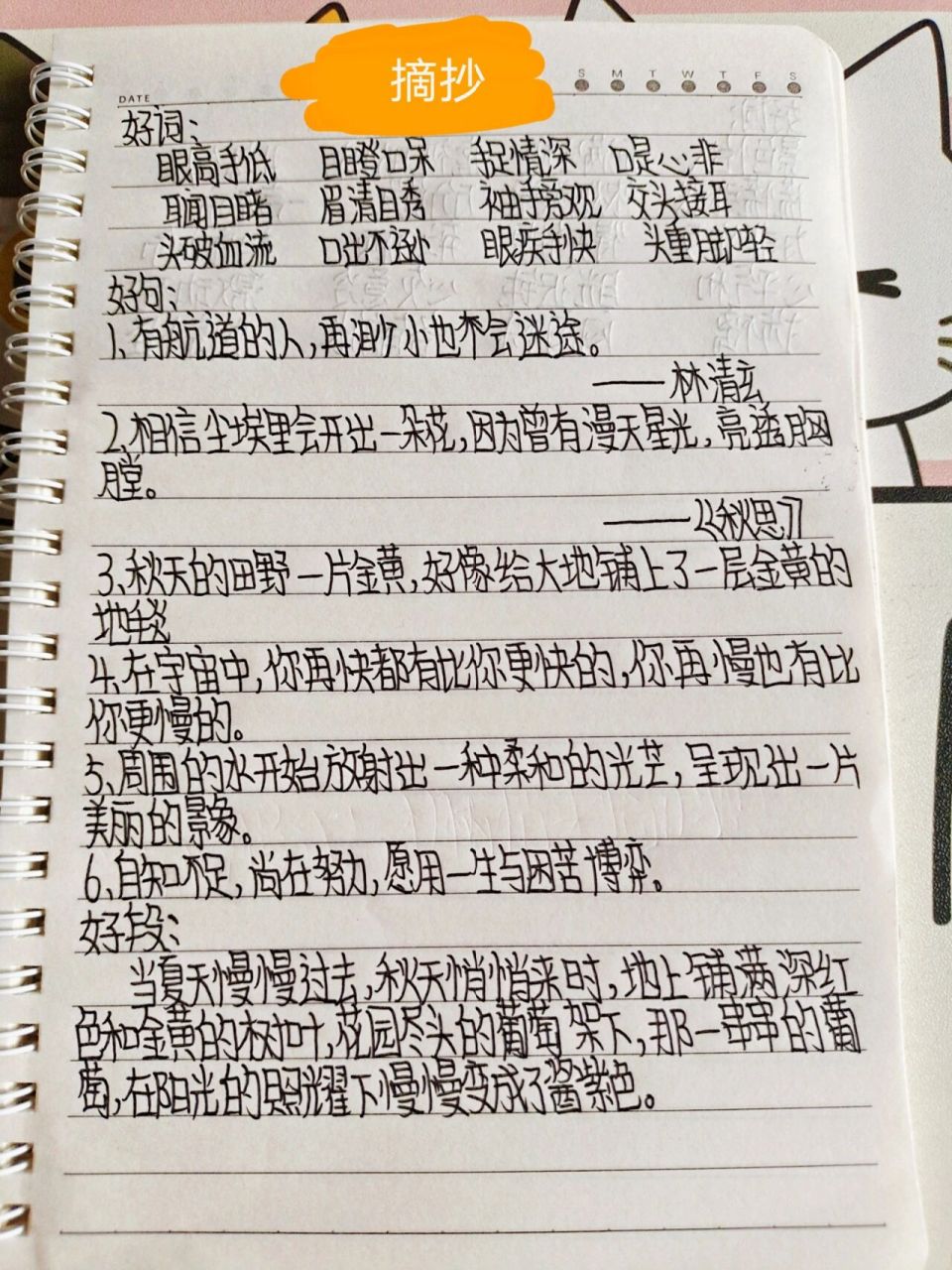 字丑的摘抄图片图片