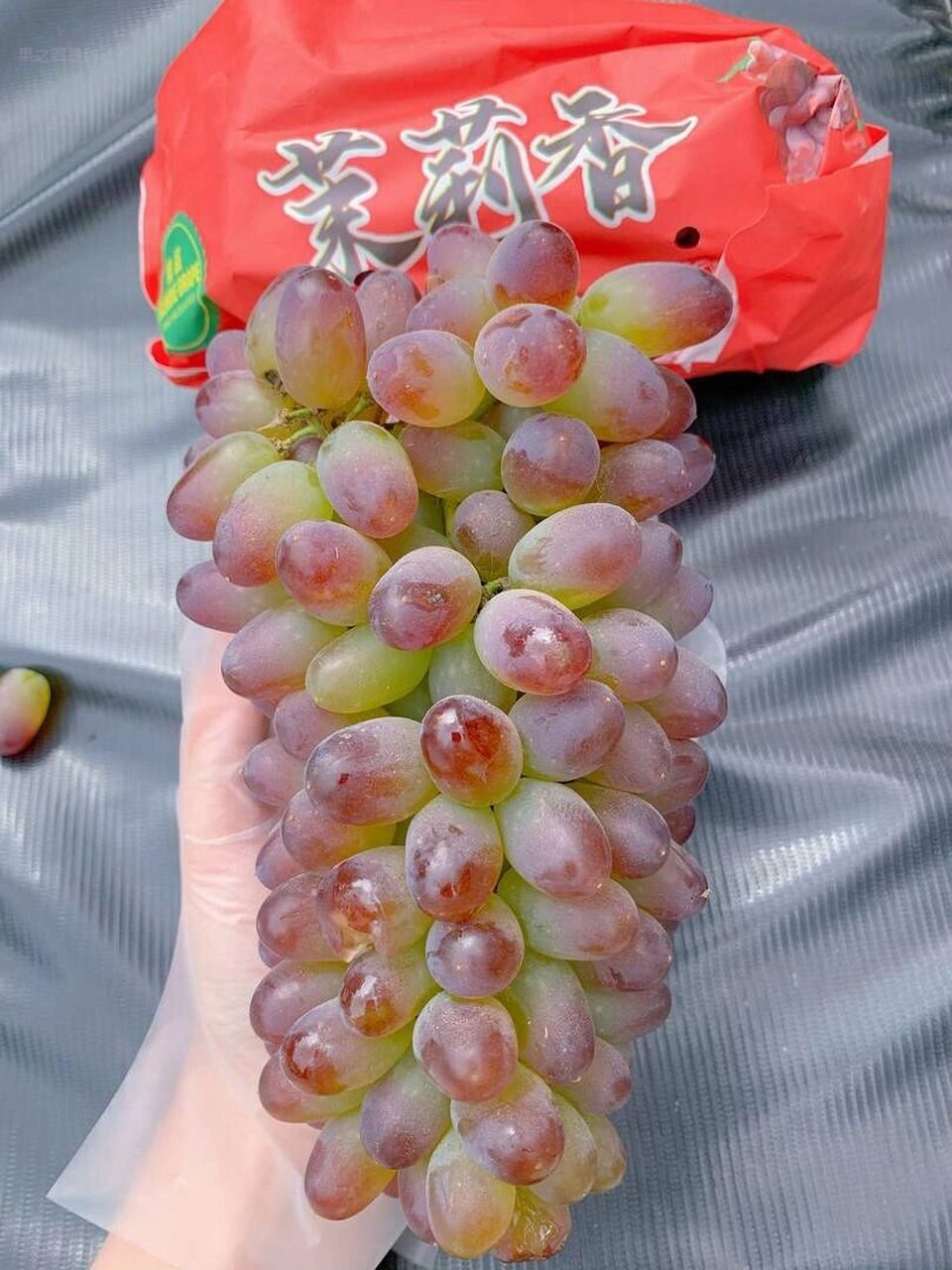 茉莉香葡萄 真是超爱郁金香93 这个可可爱爱的小葡萄99 有颜值,有