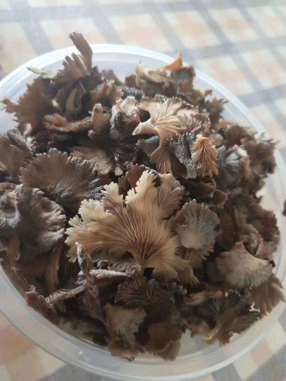 白参菌 白参菌 野生于阔叶树及针叶树的枯枝倒木上,因为味道清香,营养